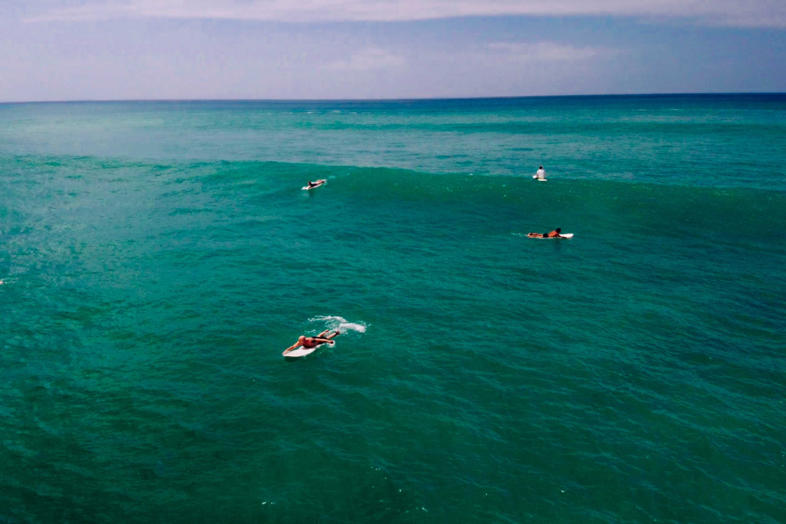 Midigama_bich. Ведущий на праздник в Москве / Денис Аганин