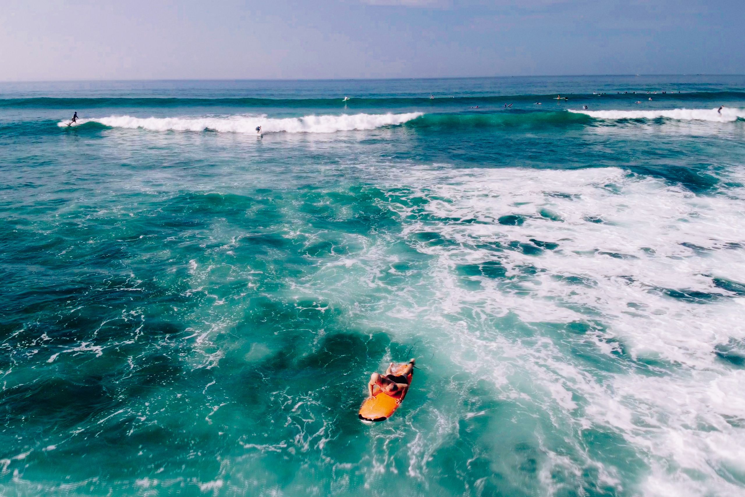 Midigama_bich. Ведущий на праздник в Москве / Денис Аганин