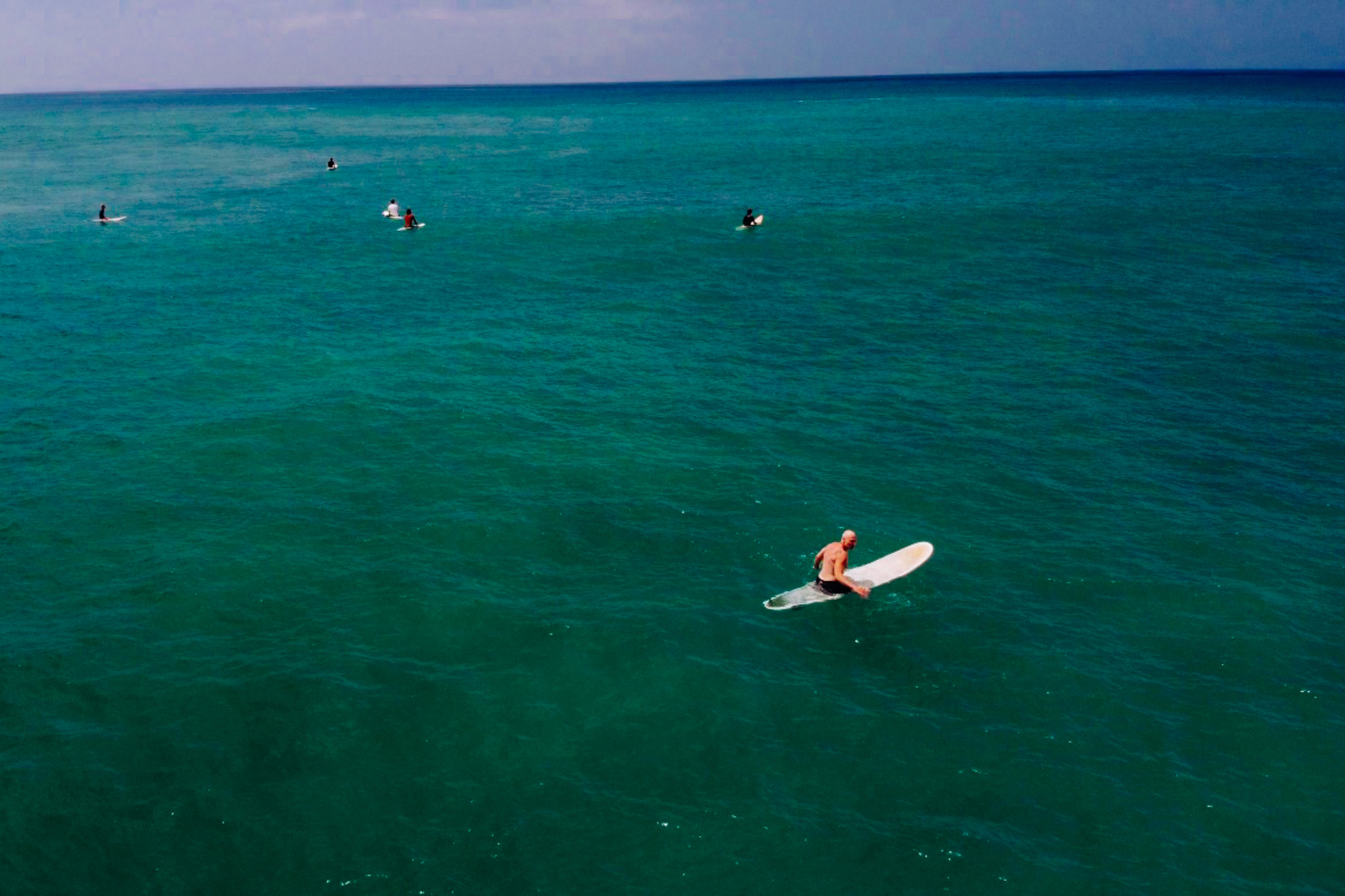 Midigama_bich. Ведущий на праздник в Москве / Денис Аганин