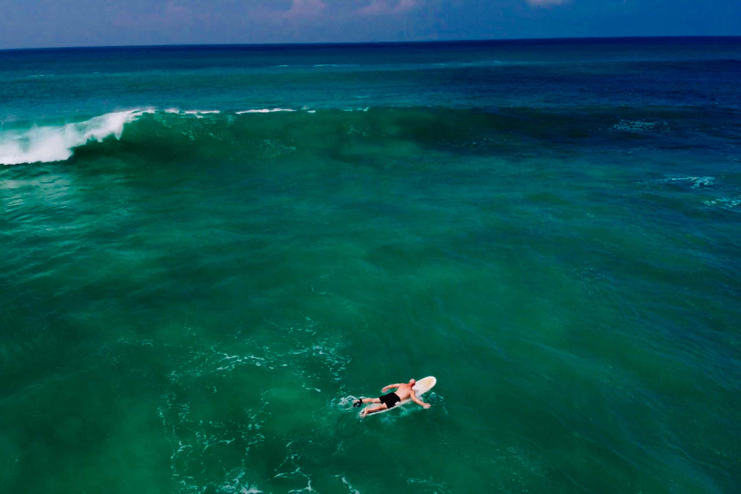 Midigama_bich. Ведущий на праздник в Москве / Денис Аганин