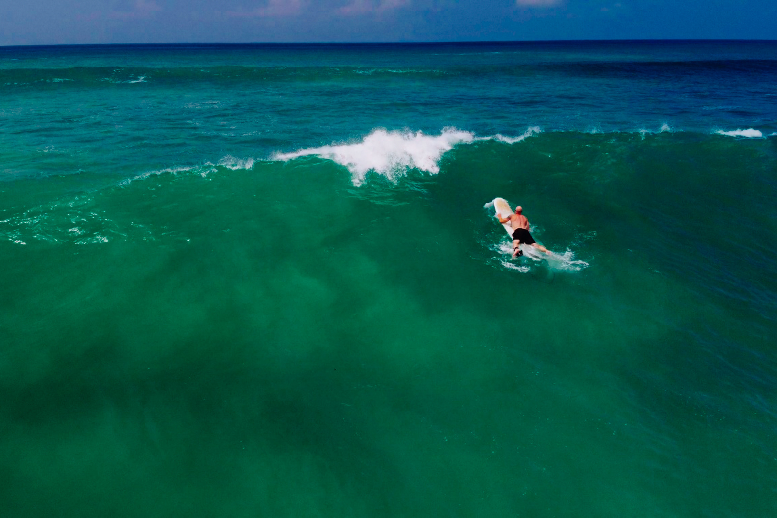 Midigama_bich. Ведущий на праздник в Москве / Денис Аганин