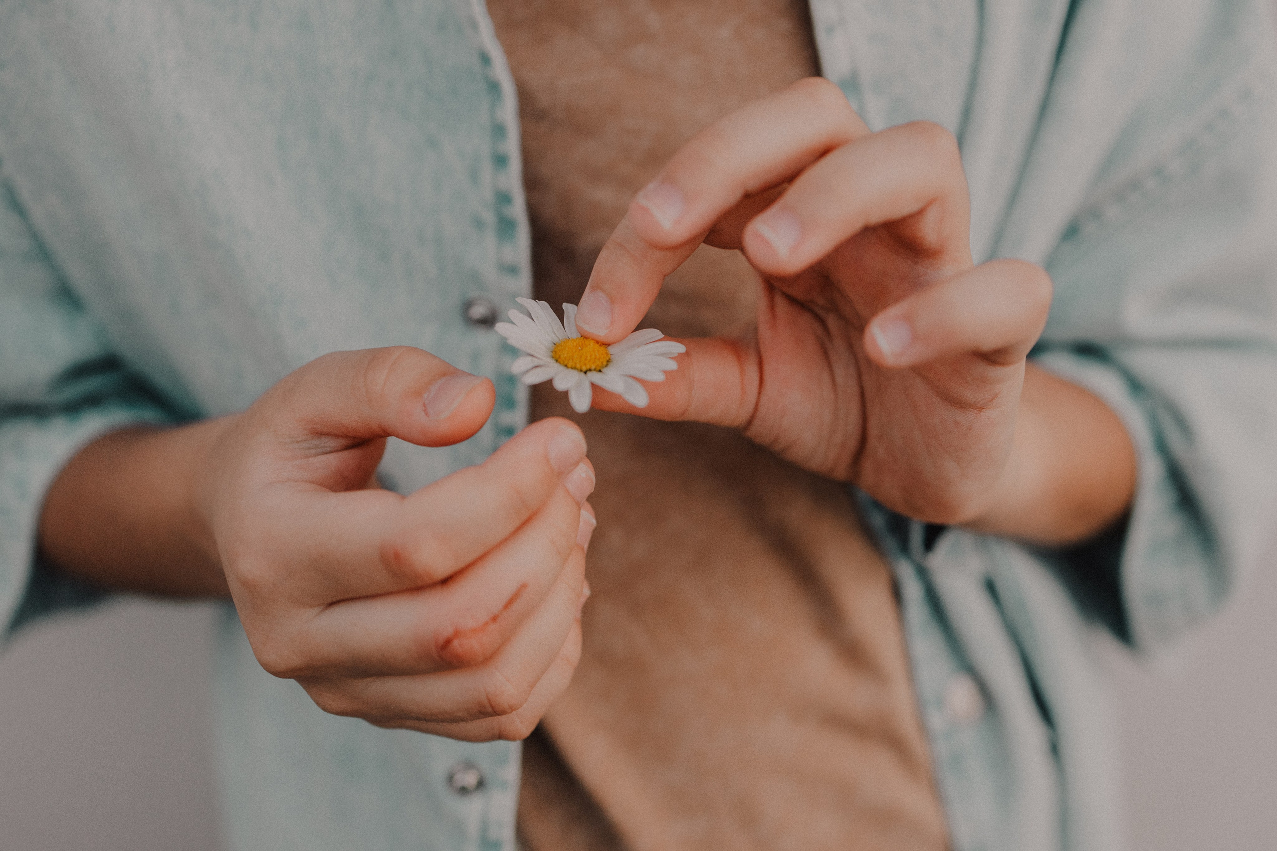 На лужайке. Семейный фотограф Москва