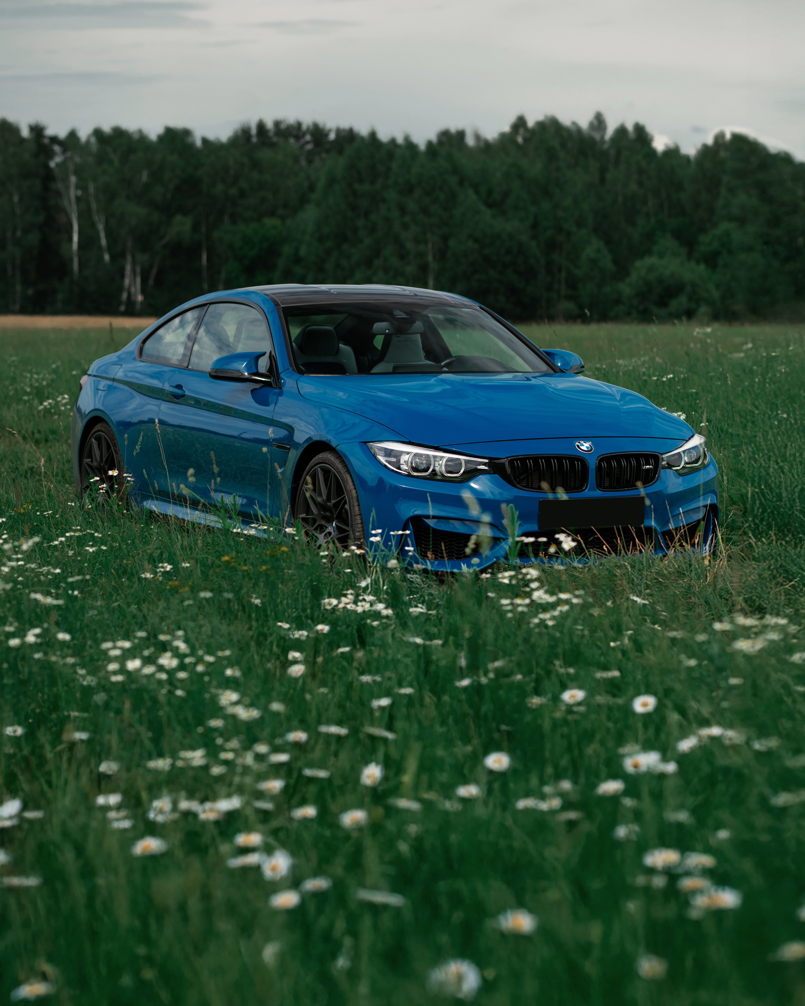 Bmw M4 Heritage Edition 1/750. DeLorein