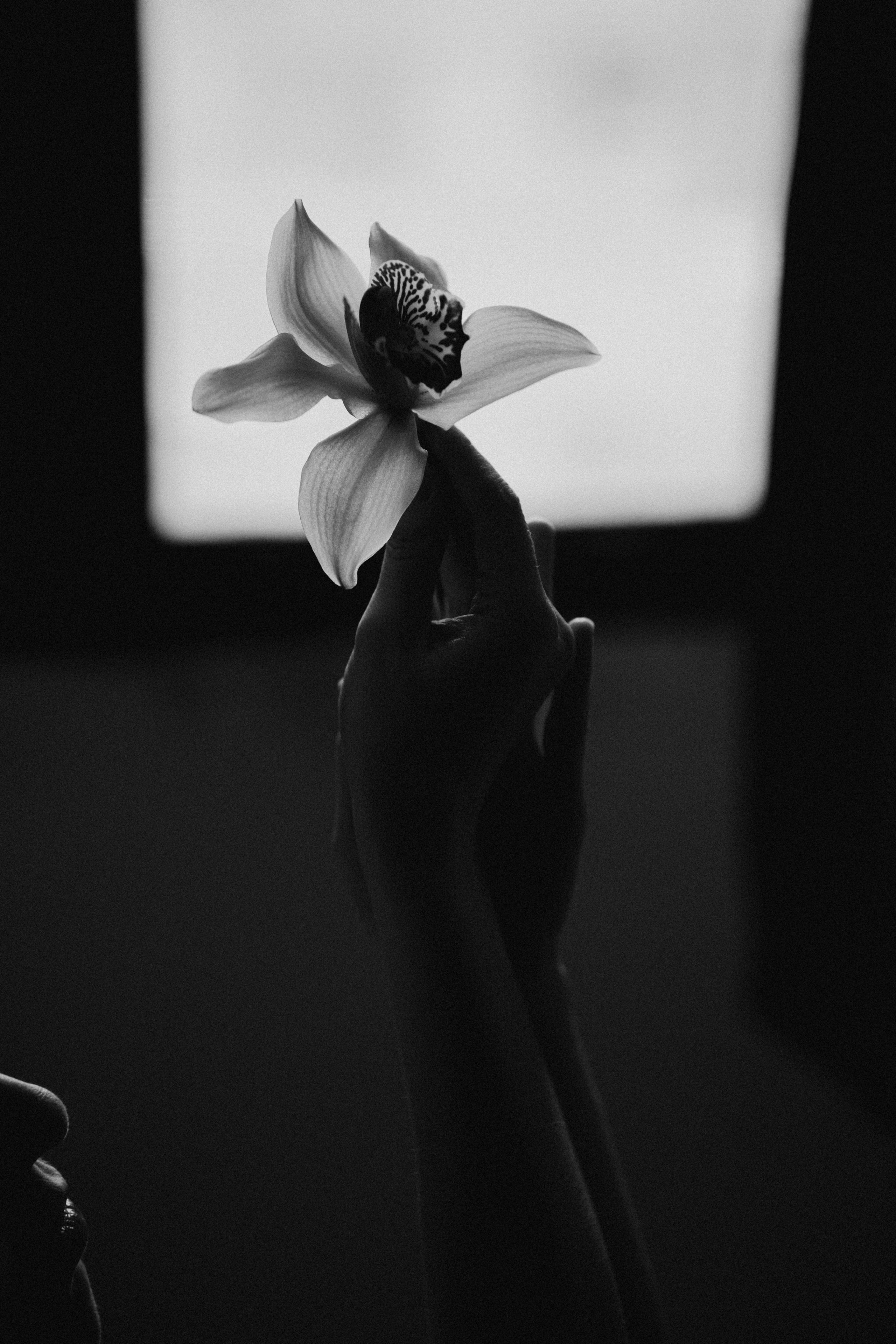 ИНДИВИДУАЛЬНАЯ СЪЕМКА. Семейный видеограф в Москве Руслана Синицына