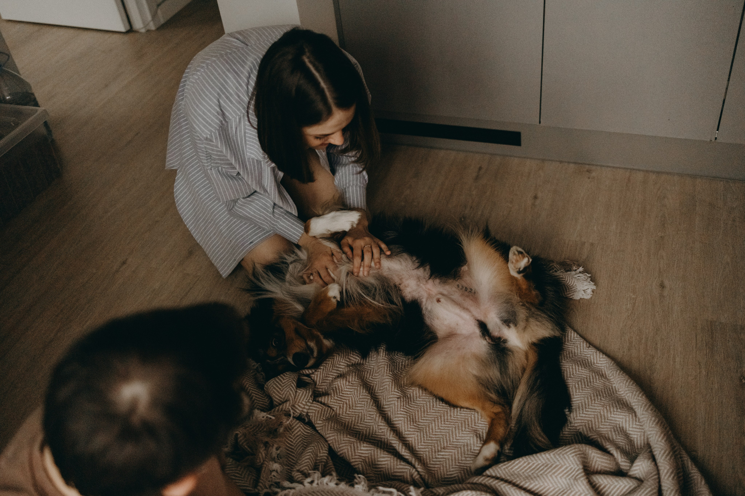 Настя, Никита и их Гром и Мяу. Фотограф — Анималист | Санкт-Петербург