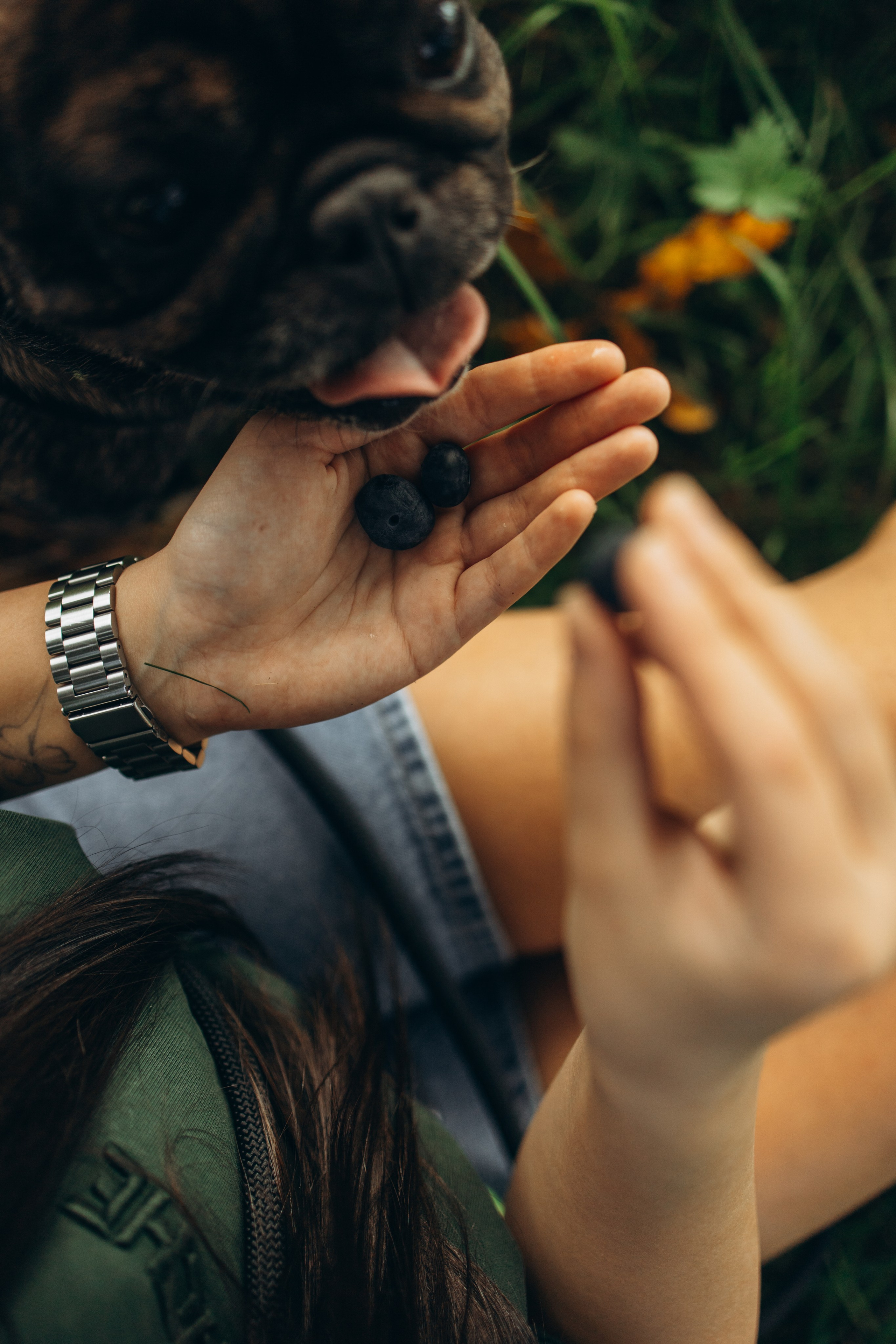 Олеся и Луи. Фотограф — Анималист | Санкт-Петербург