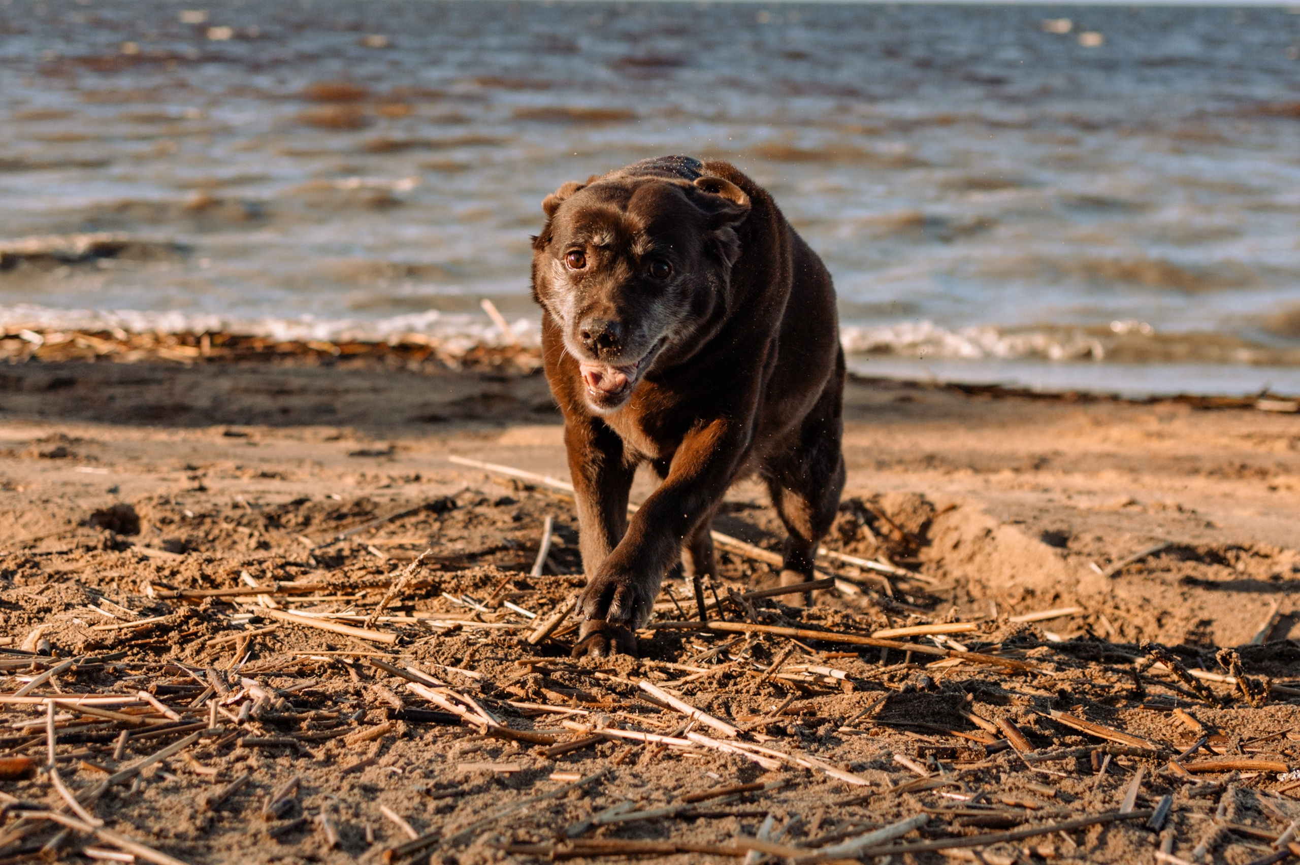 Оля и Питоня. Фотограф — Анималист | Санкт-Петербург