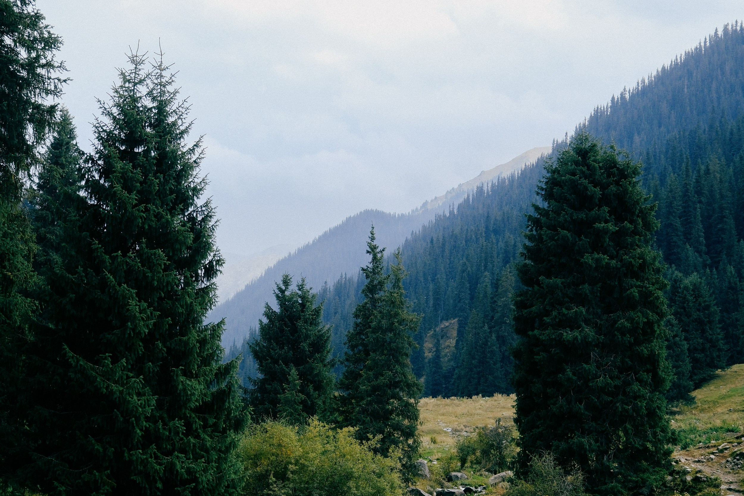 Кыргызстан. Фотограф Дмитрий Олрайт | Калуга, Россия