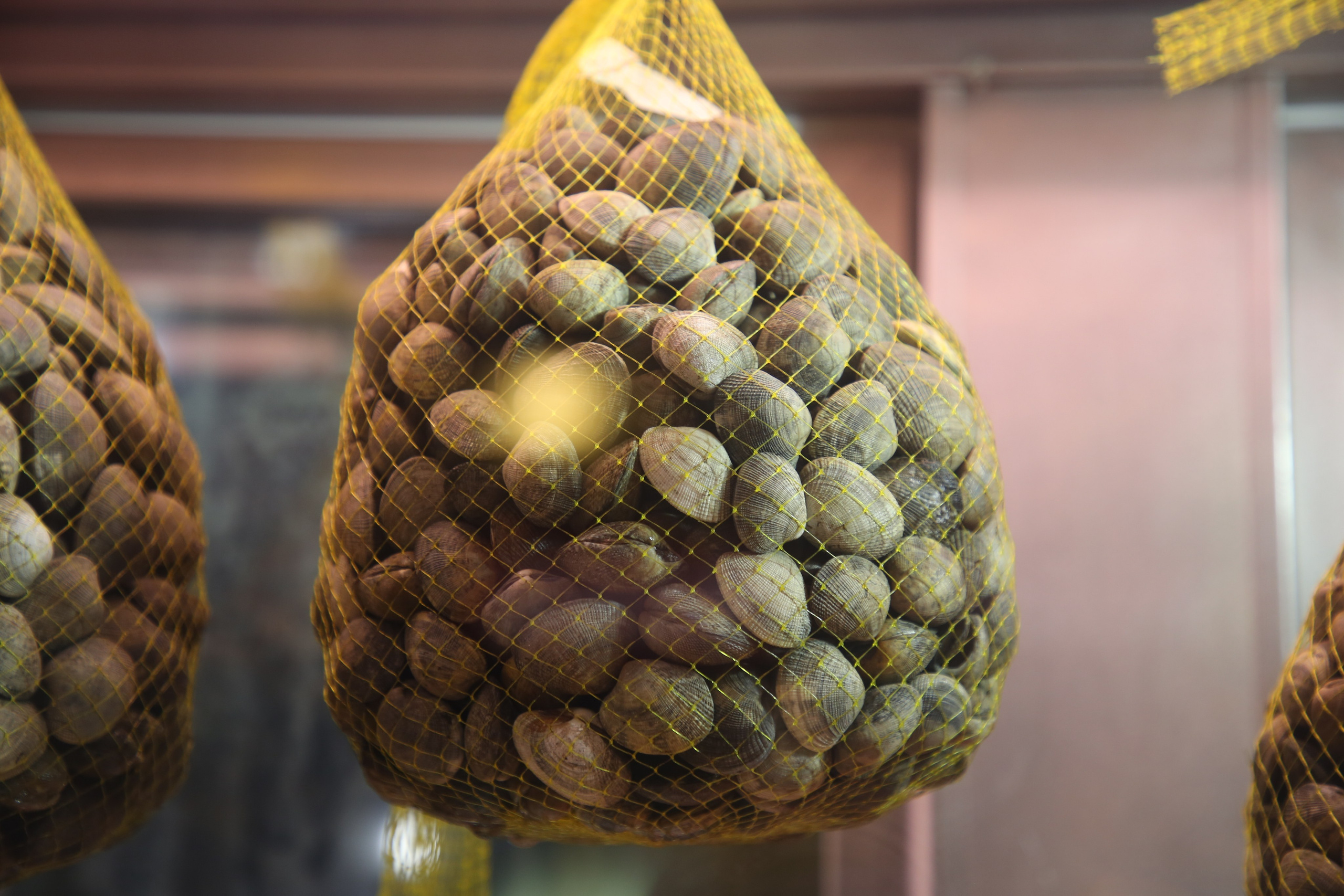 Lisbon, Portugal. Andrey Filippov Photographer