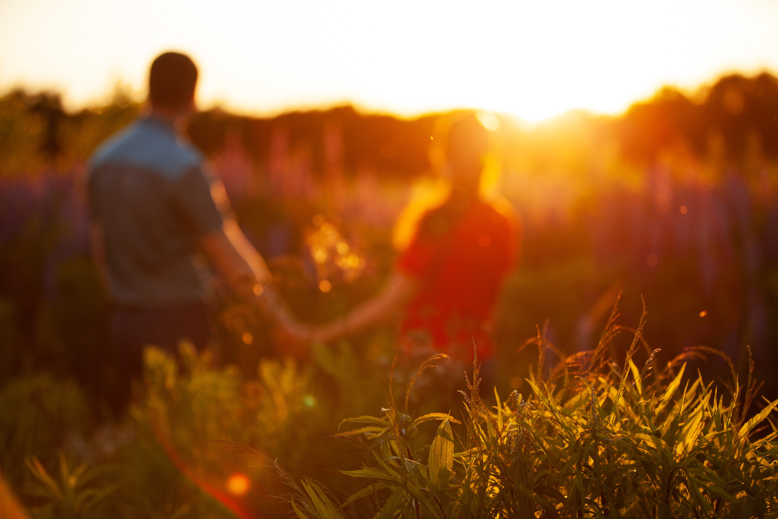 Сергей и Наталья. Люпины. Семейный, школьный фотограф в Нижнем Новгороде Елена Сентюрева