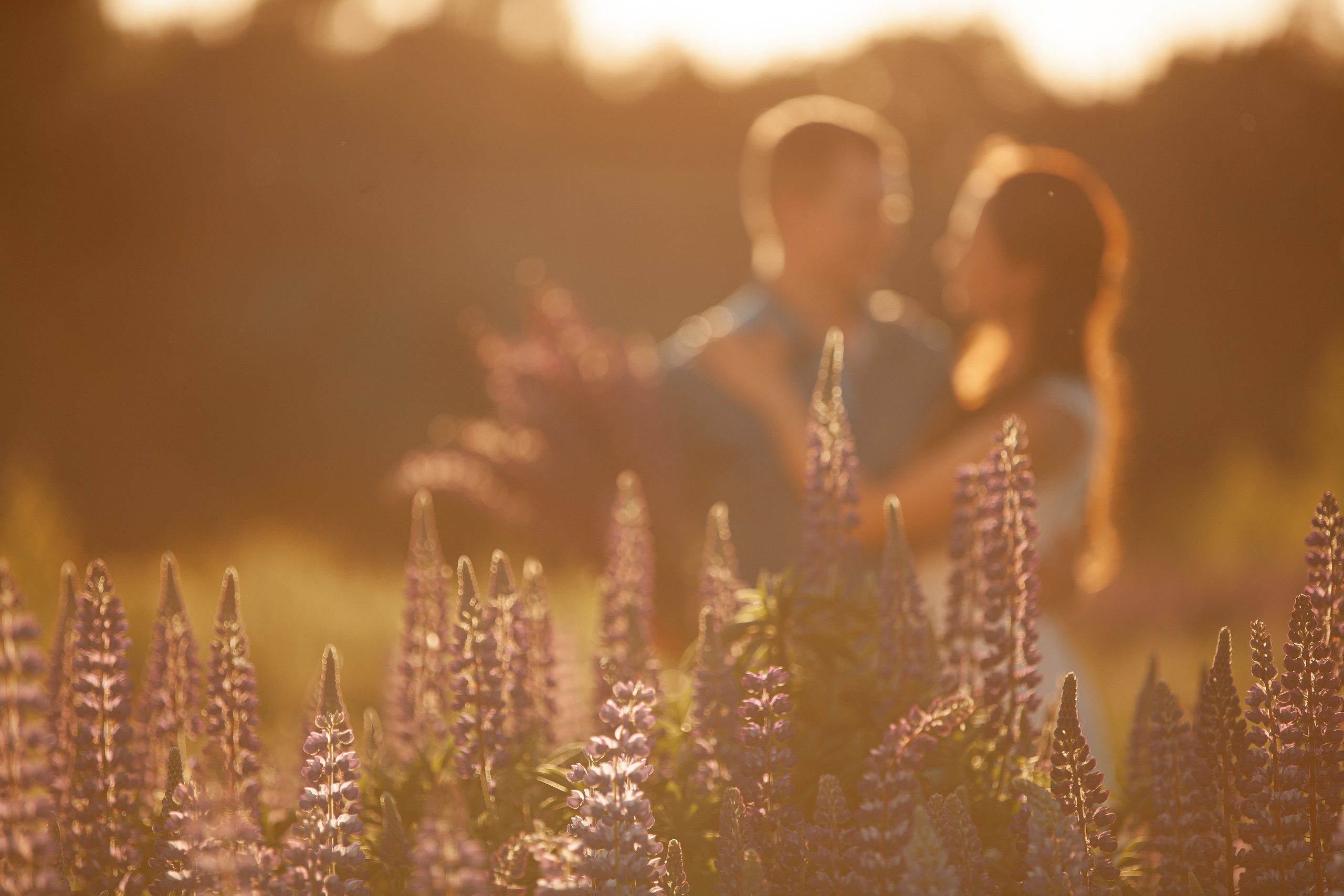 Сергей и Наталья. Люпины. Семейный, школьный фотограф в Нижнем Новгороде Елена Сентюрева