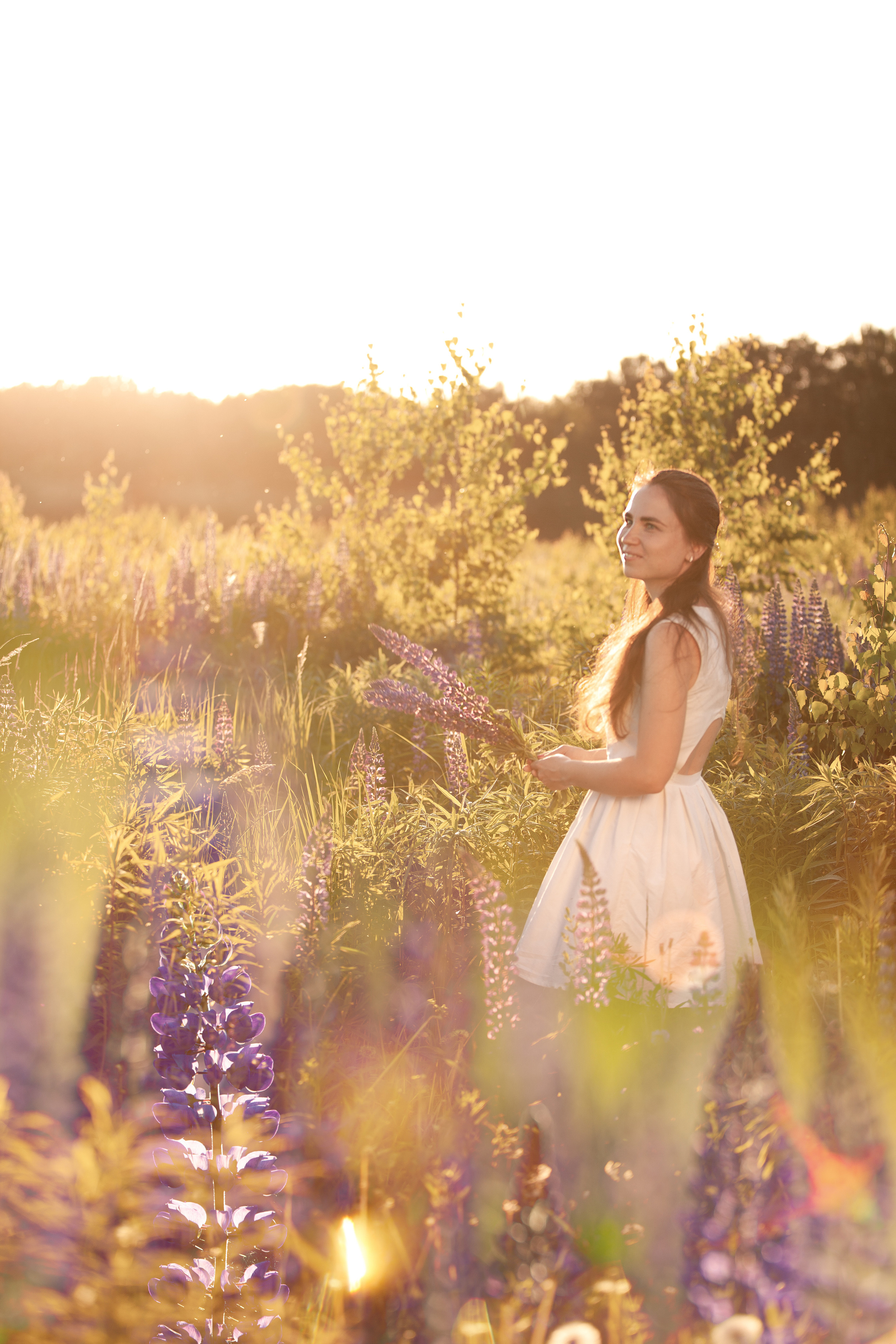 Сергей и Наталья. Люпины. Семейный, школьный фотограф в Нижнем Новгороде Елена Сентюрева