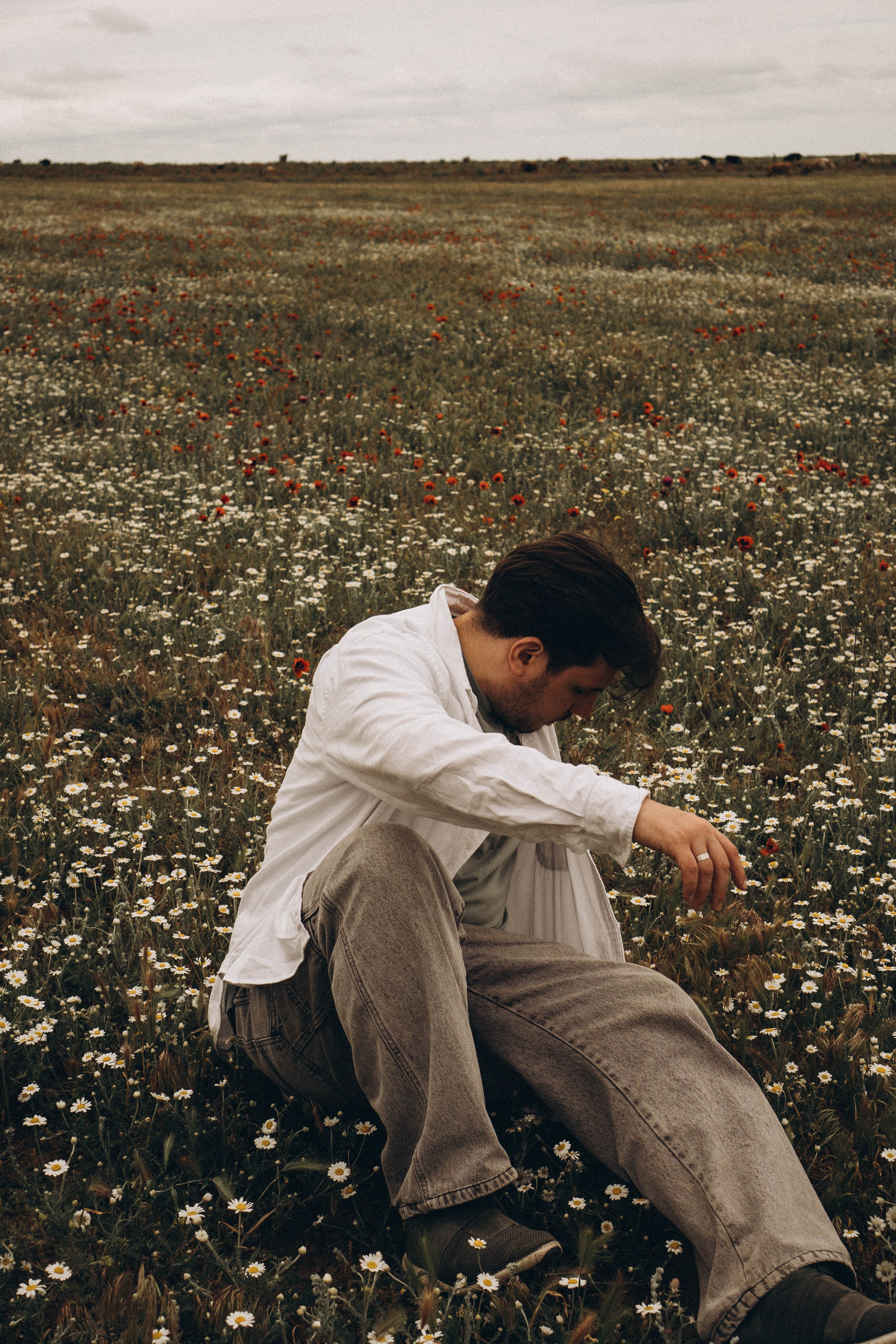 Маки. Профессиональный фотограф, Санкт-Петербург — Виктория Богомолова