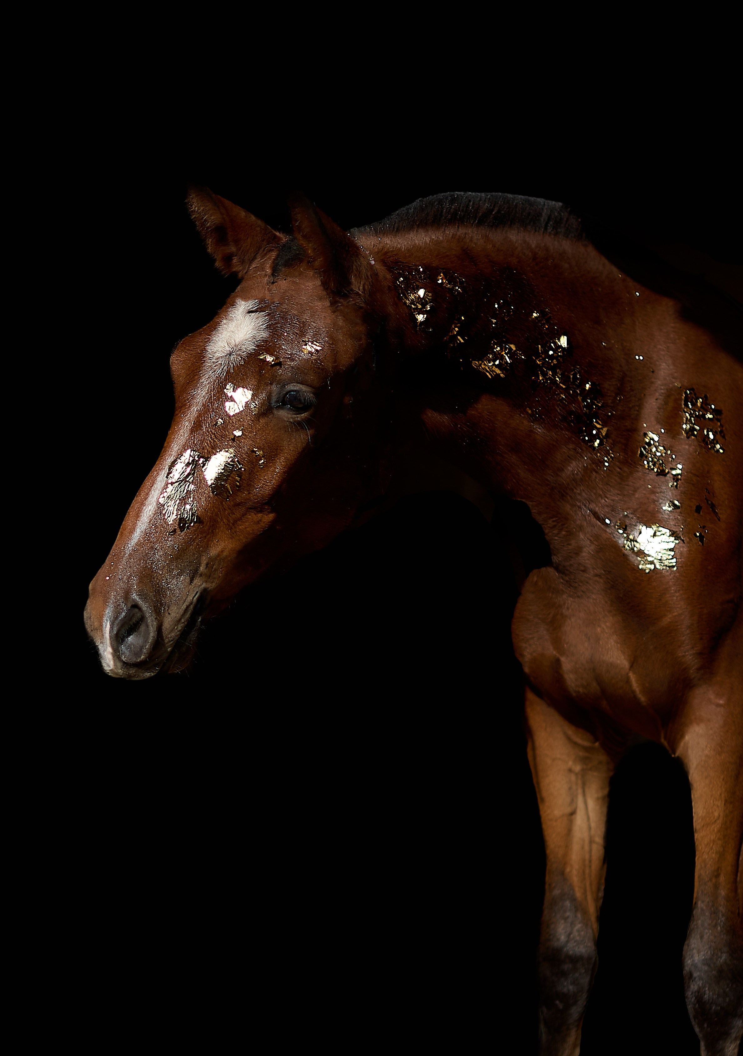 Роня. Фотограф в Севастополе
