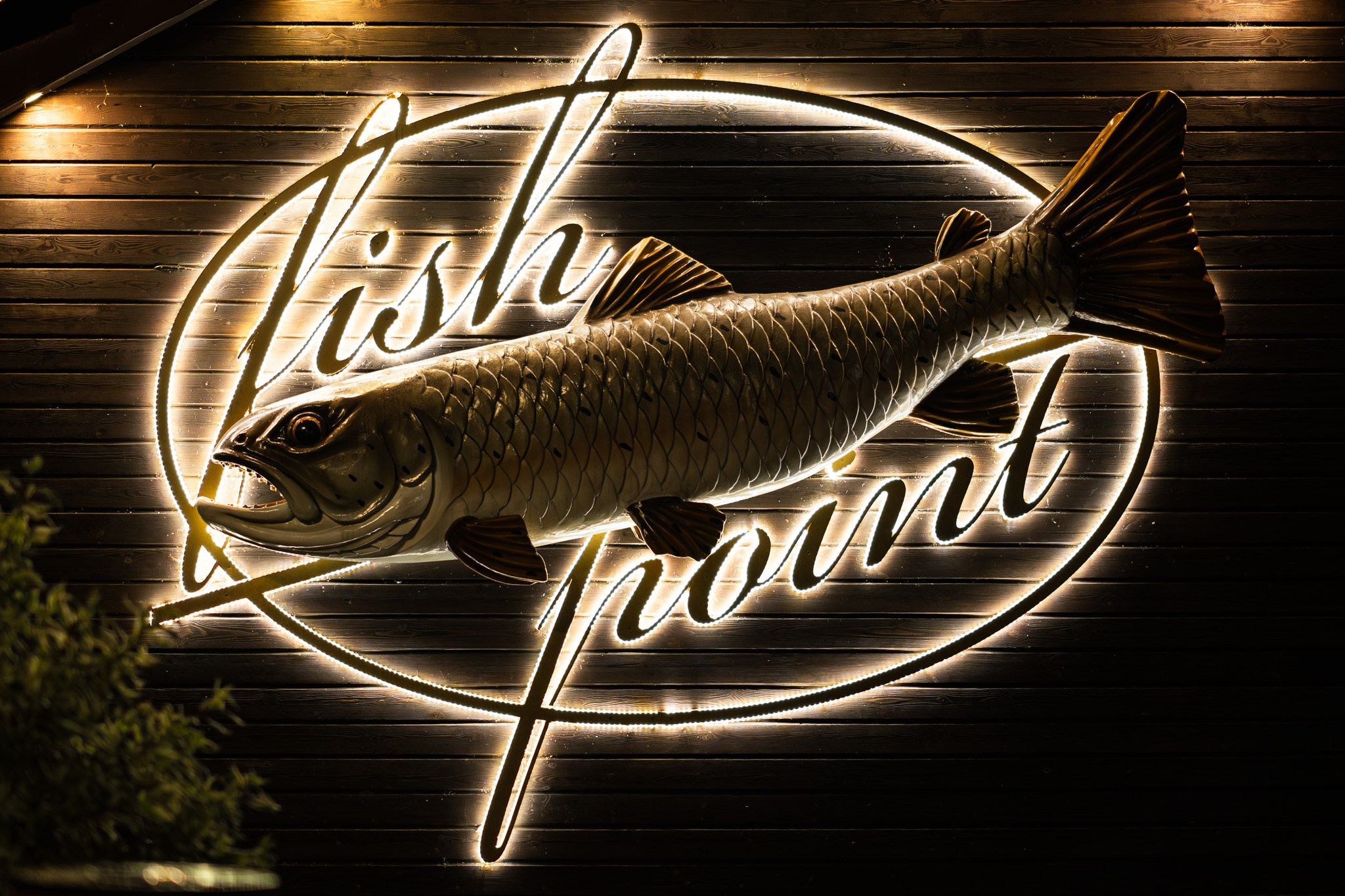 Рыба на логотипе ресторана Fishpoint