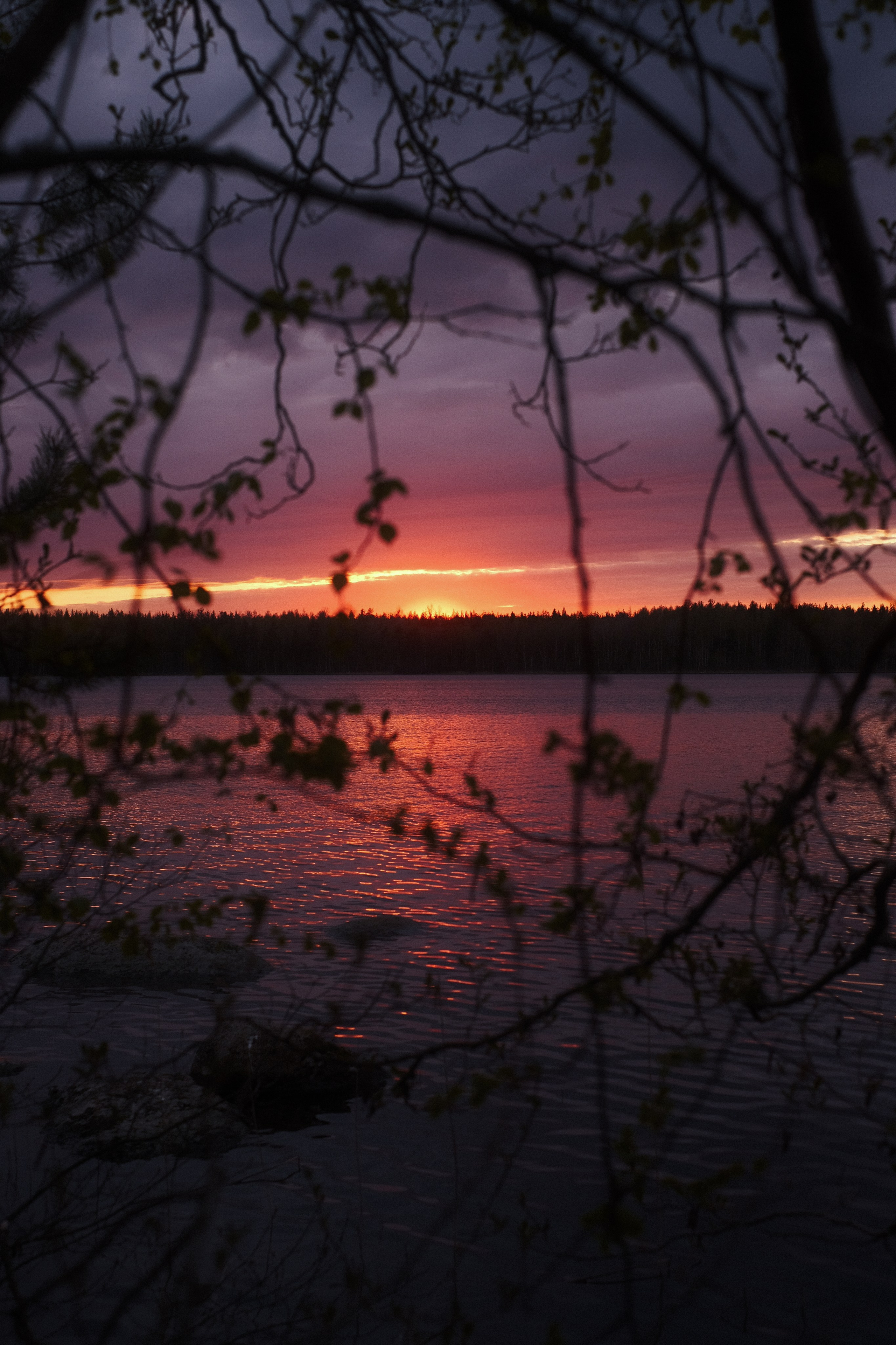 Весеннее заходское