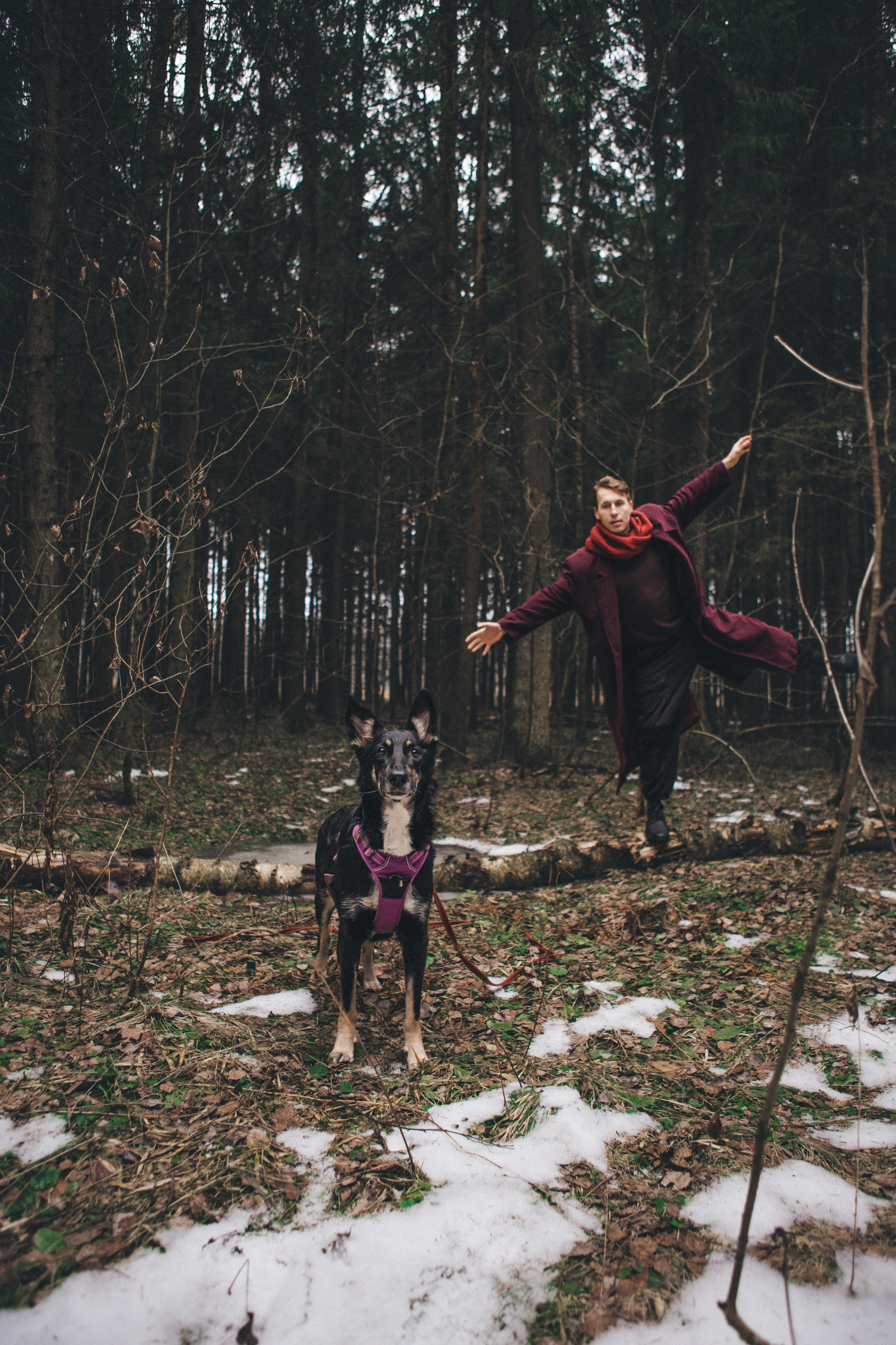 A cinematic tale of true love and unbreakable friendship between a man and a dog. Portrait, family and pet photographer in Cyprus, Ksenia Bourdelle