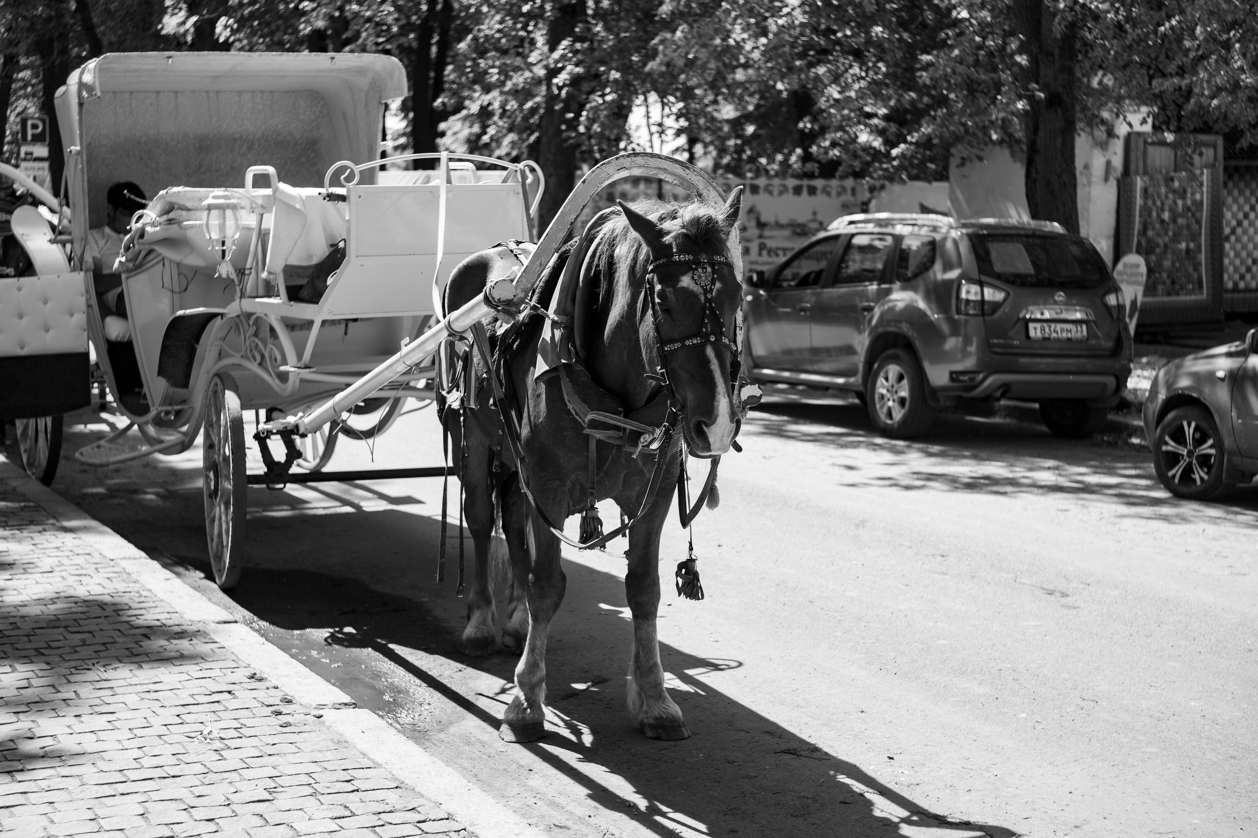 Суздаль 2024. Легкая фотография