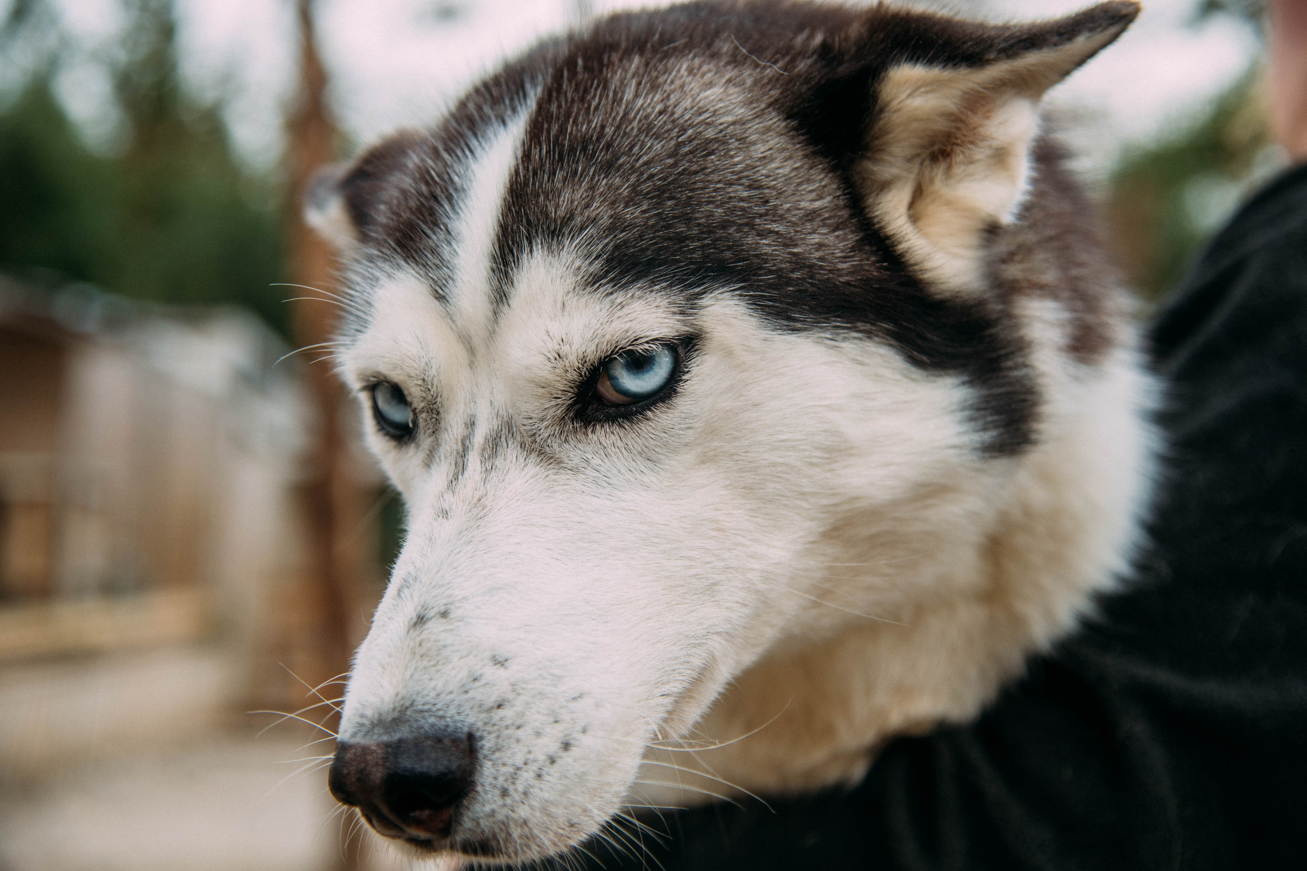 Кольский полуостров. Фотографирую для себя, своей семьи и друзей!