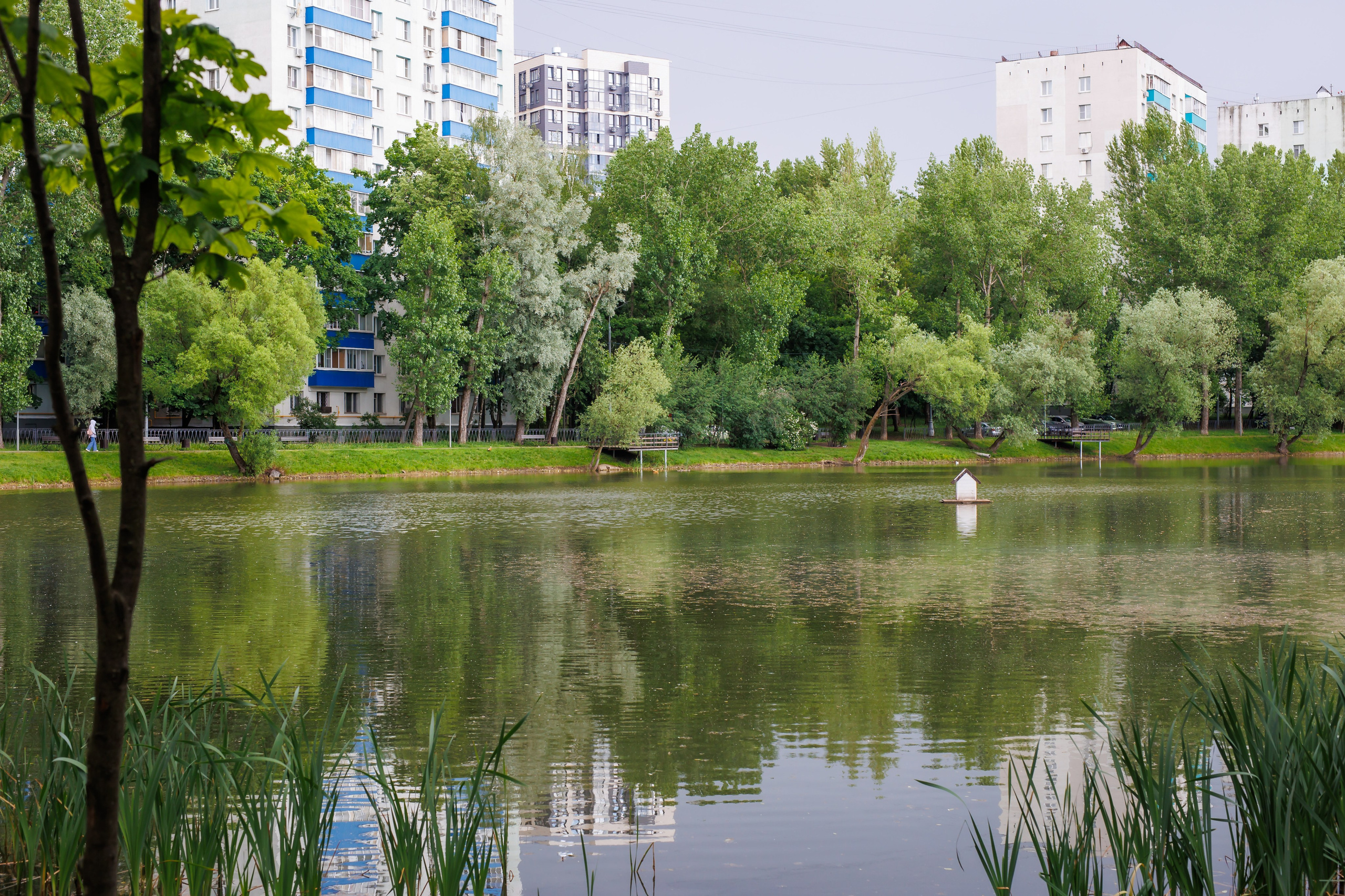 ФОТОПРОГУЛКА семья Анастасия. Профессиональная фото и видеосъемка. Москва