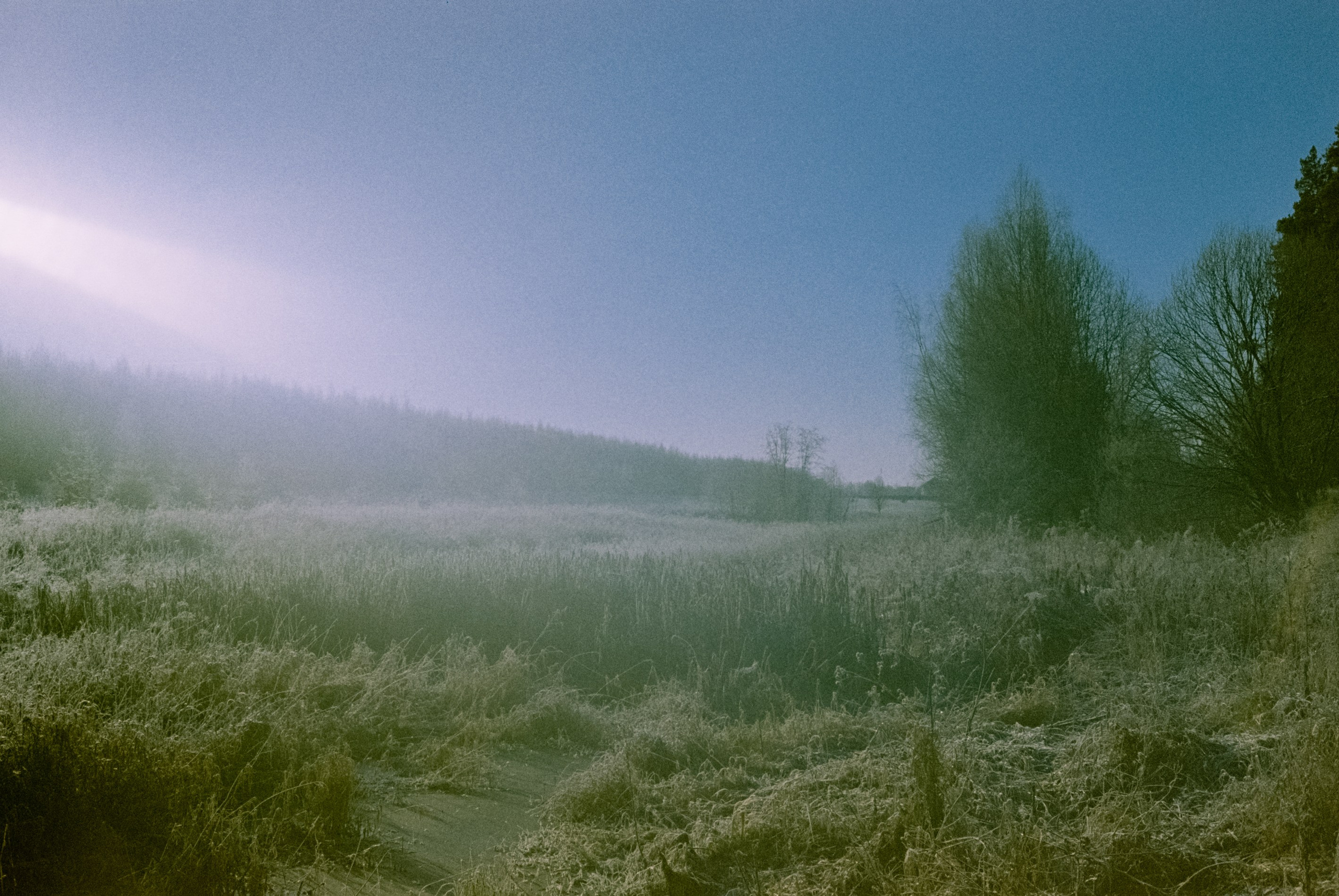 Minolta Hi-Matic 7sII / Kodak Color 200 (просрочка) / Лукино