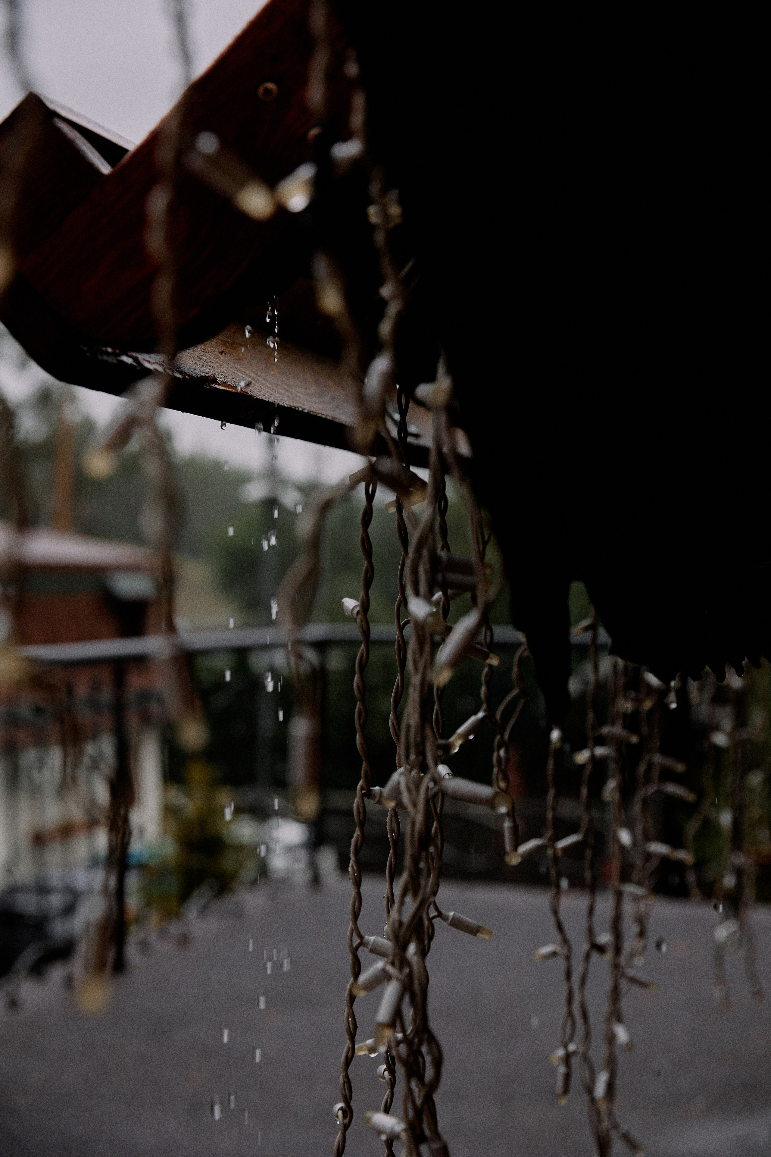 Жемчуг. Фотограф Елена Краснопевцева