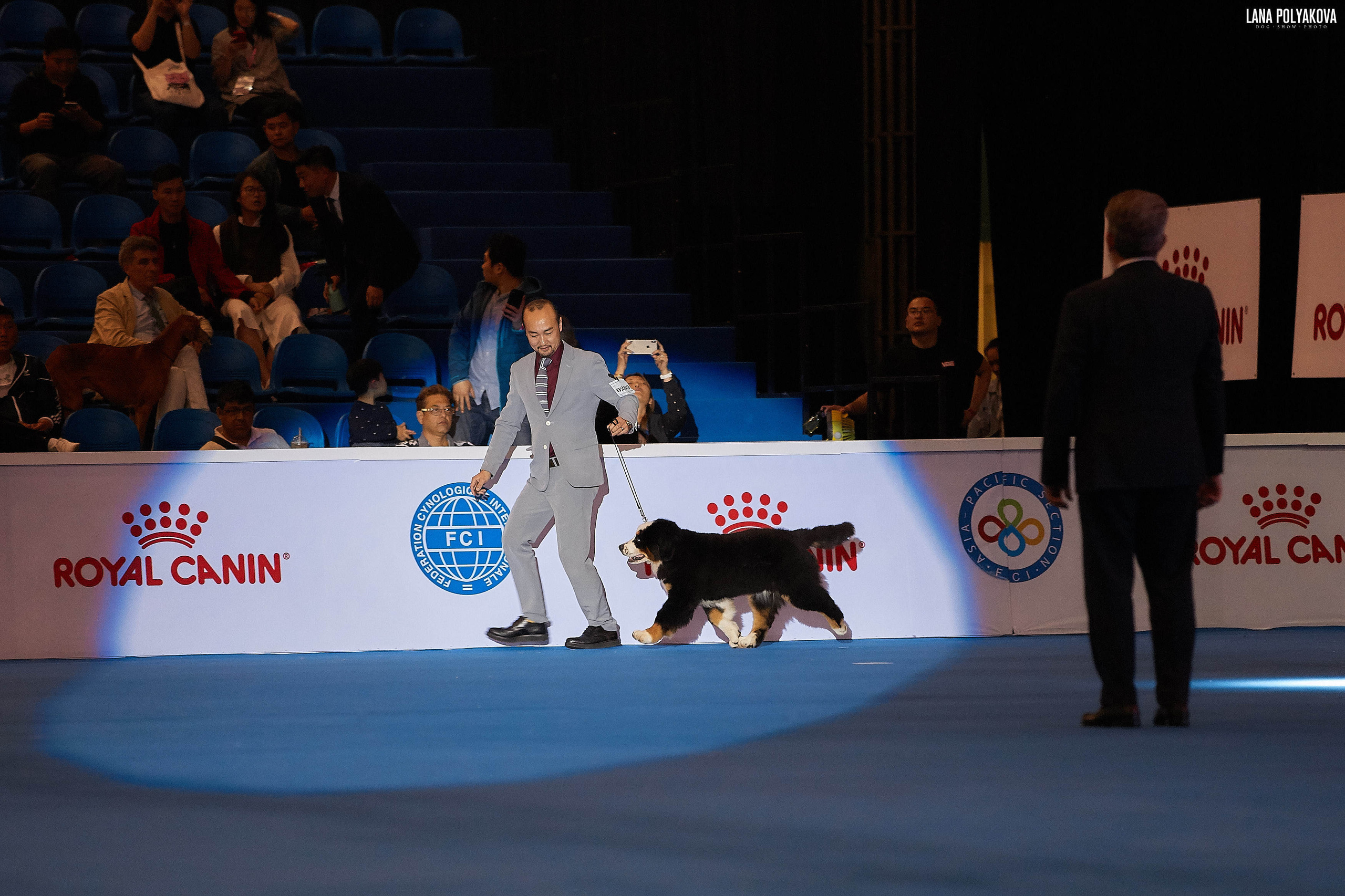 WDS 2019, China, Shanghai