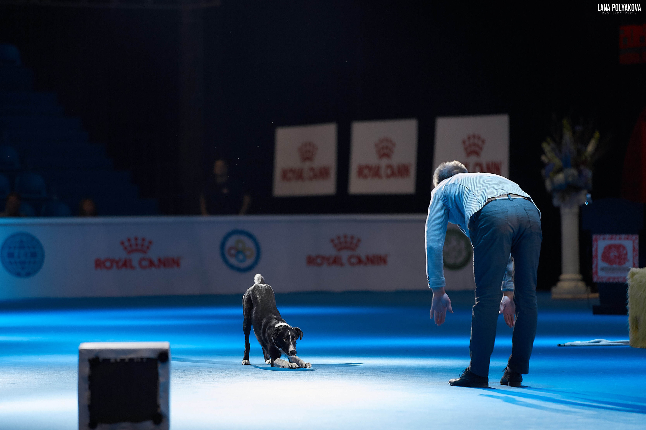 WDS 2019, China, Shanghai