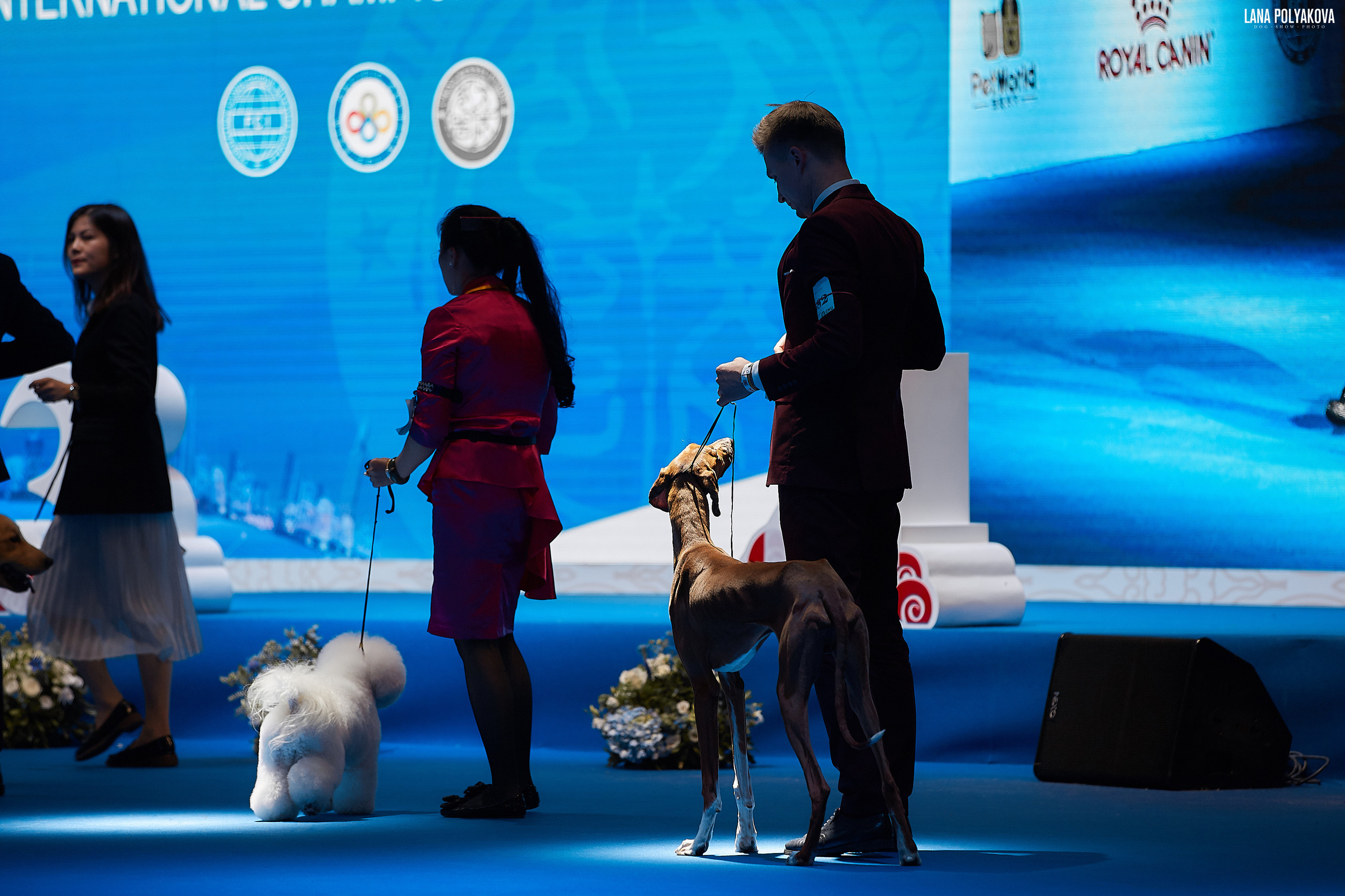 WDS 2019, China, Shanghai