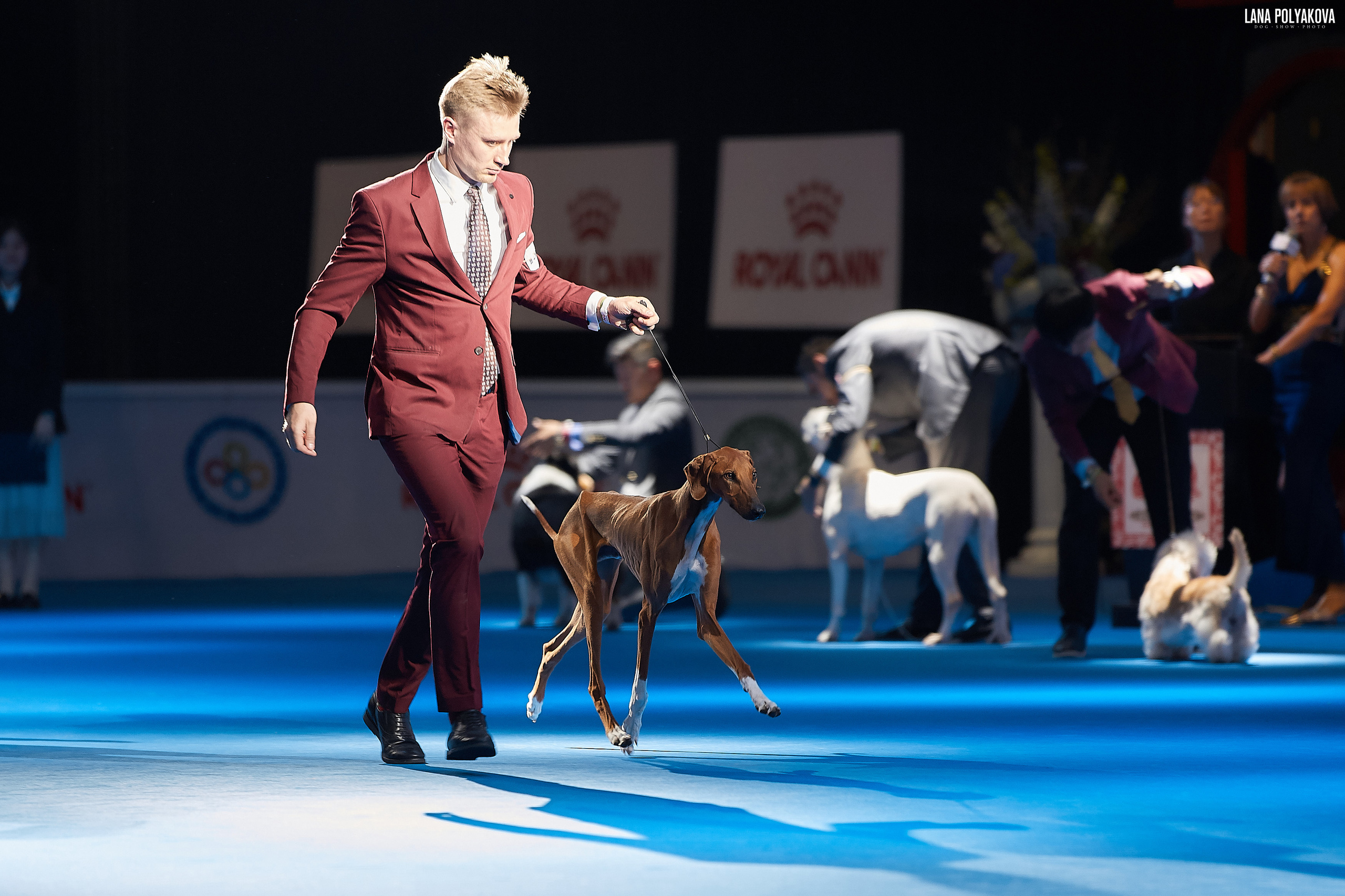 WDS 2019, China, Shanghai