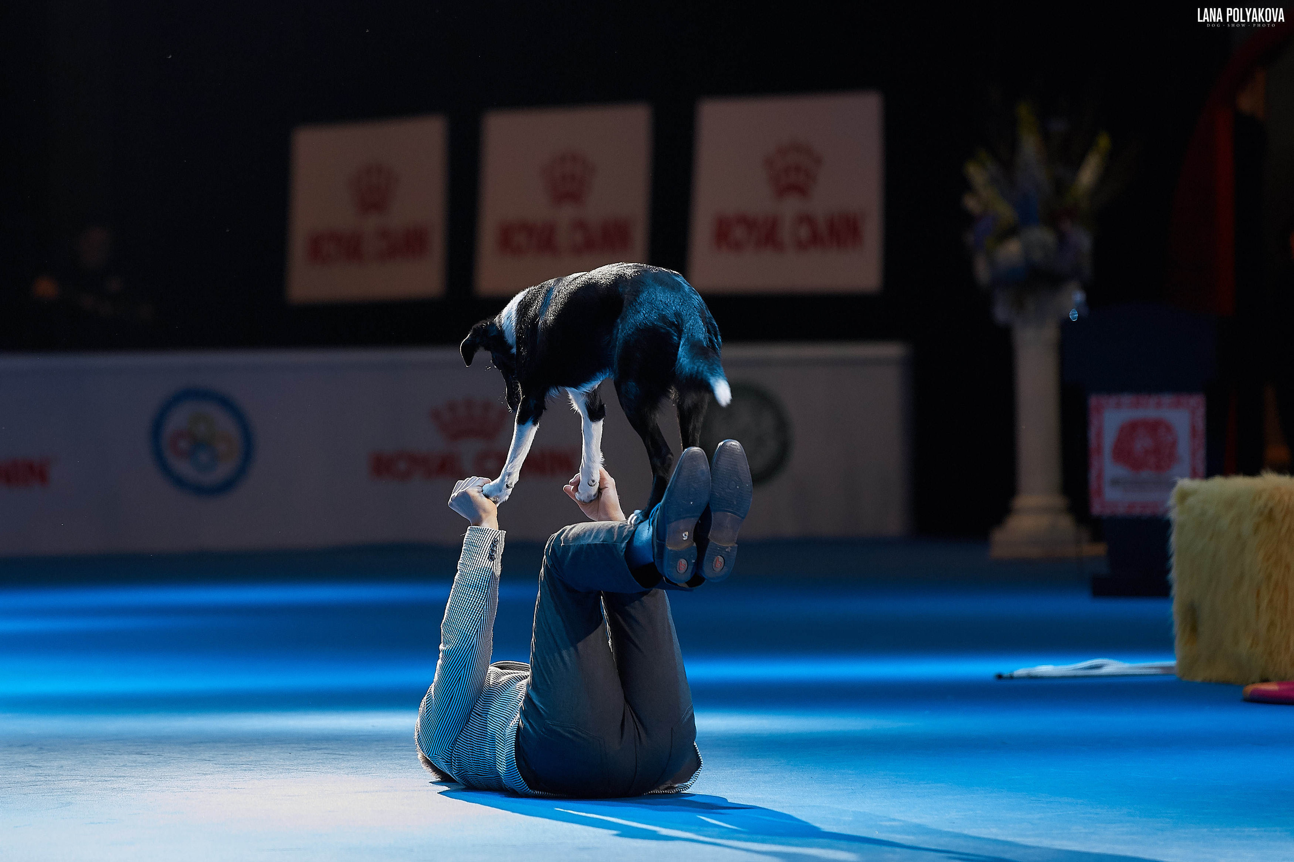 WDS 2019, China, Shanghai