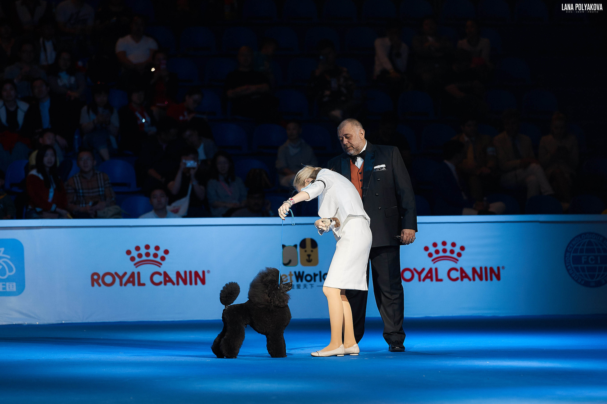 WDS 2019, China, Shanghai