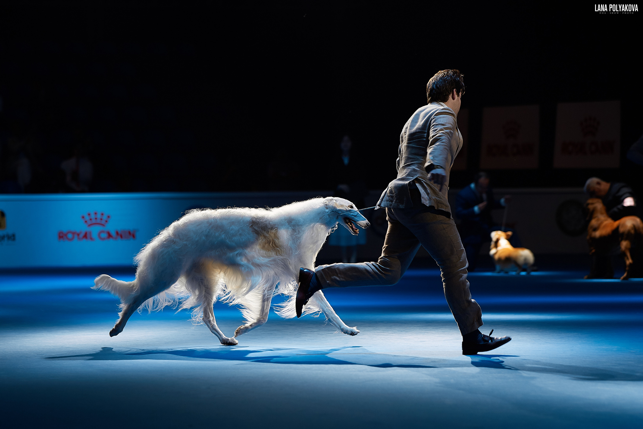 WDS 2019, China, Shanghai