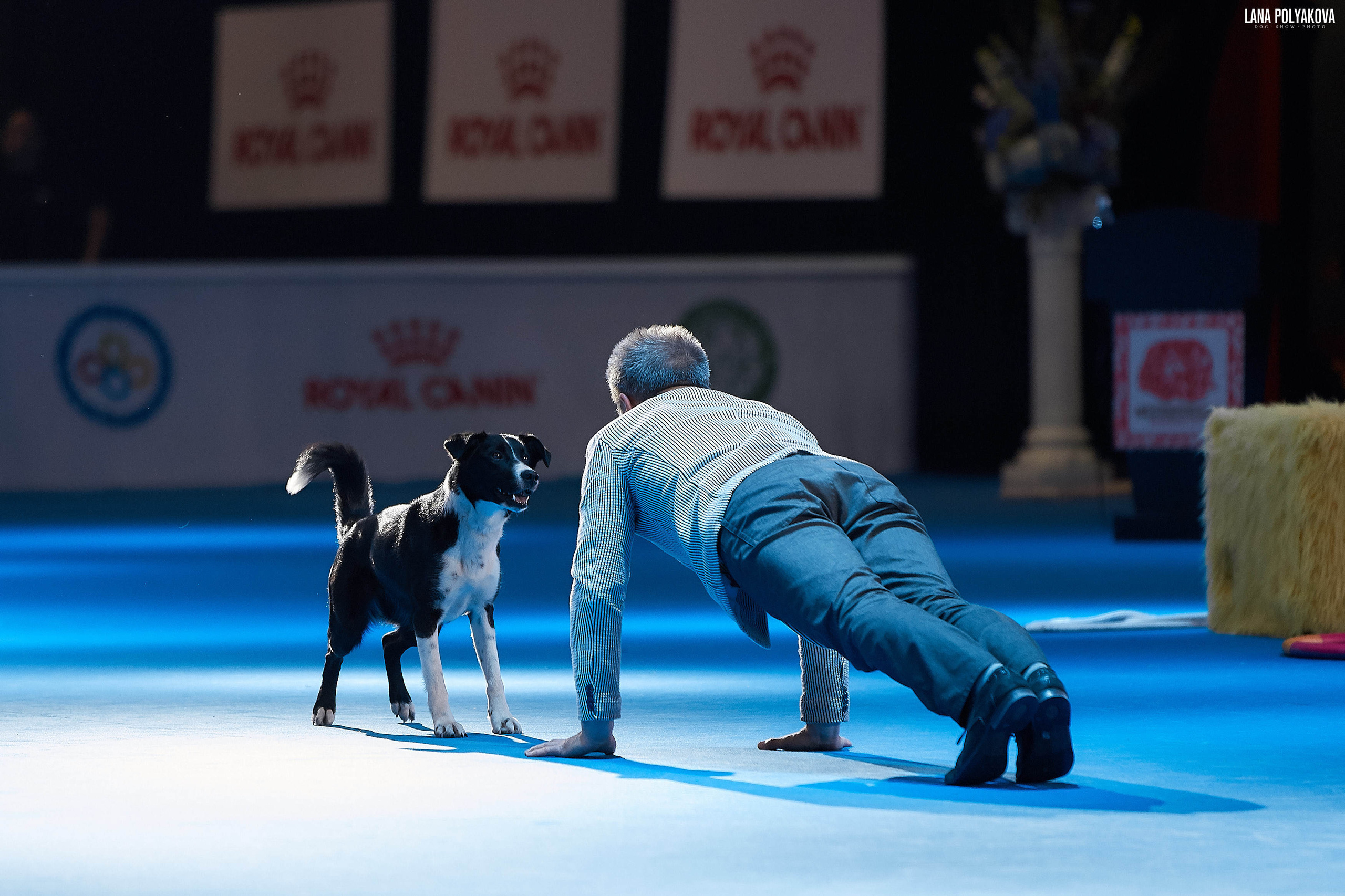 WDS 2019, China, Shanghai