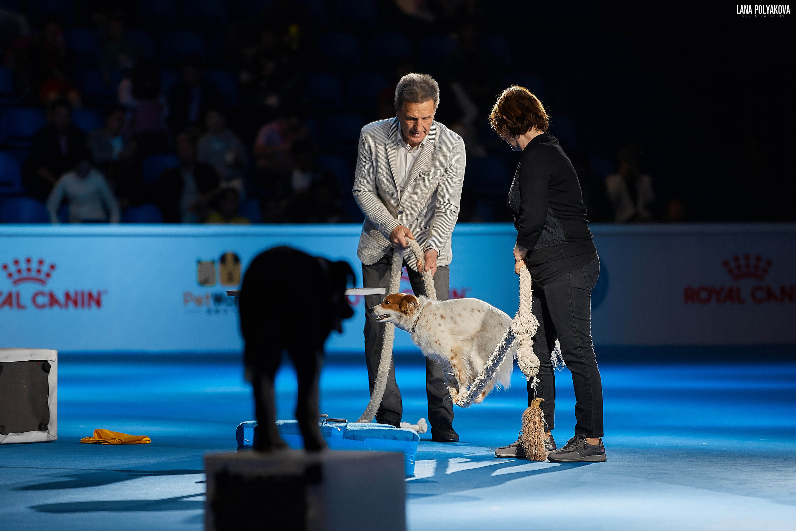 WDS 2019, China, Shanghai