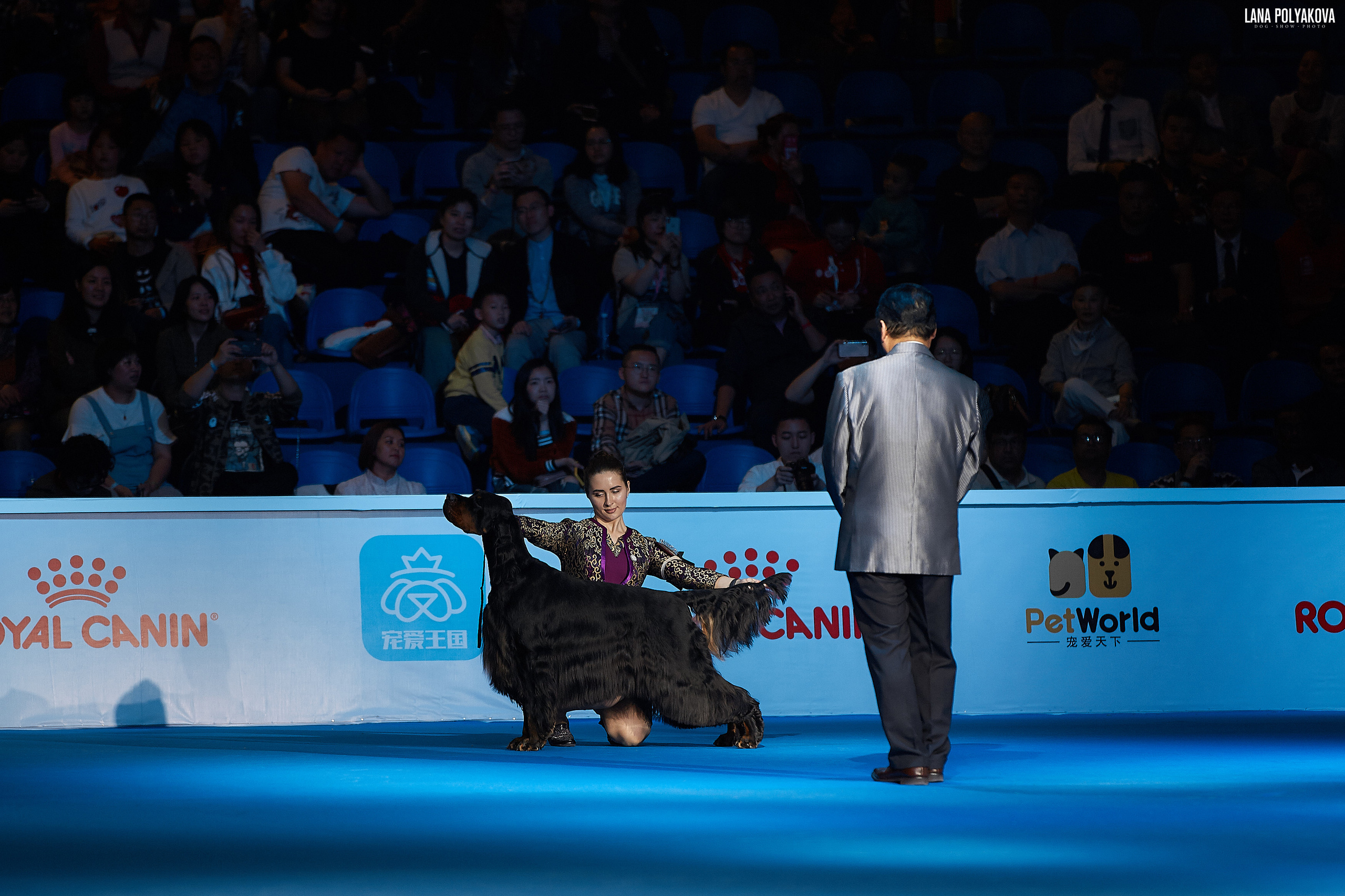 WDS 2019, China, Shanghai