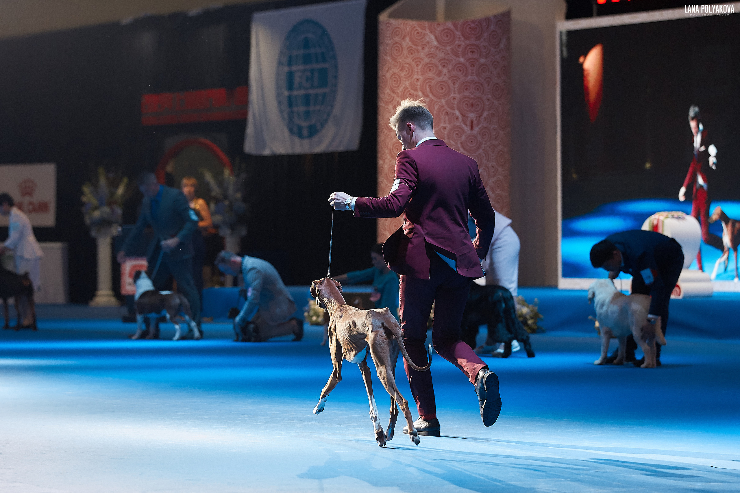 WDS 2019, China, Shanghai