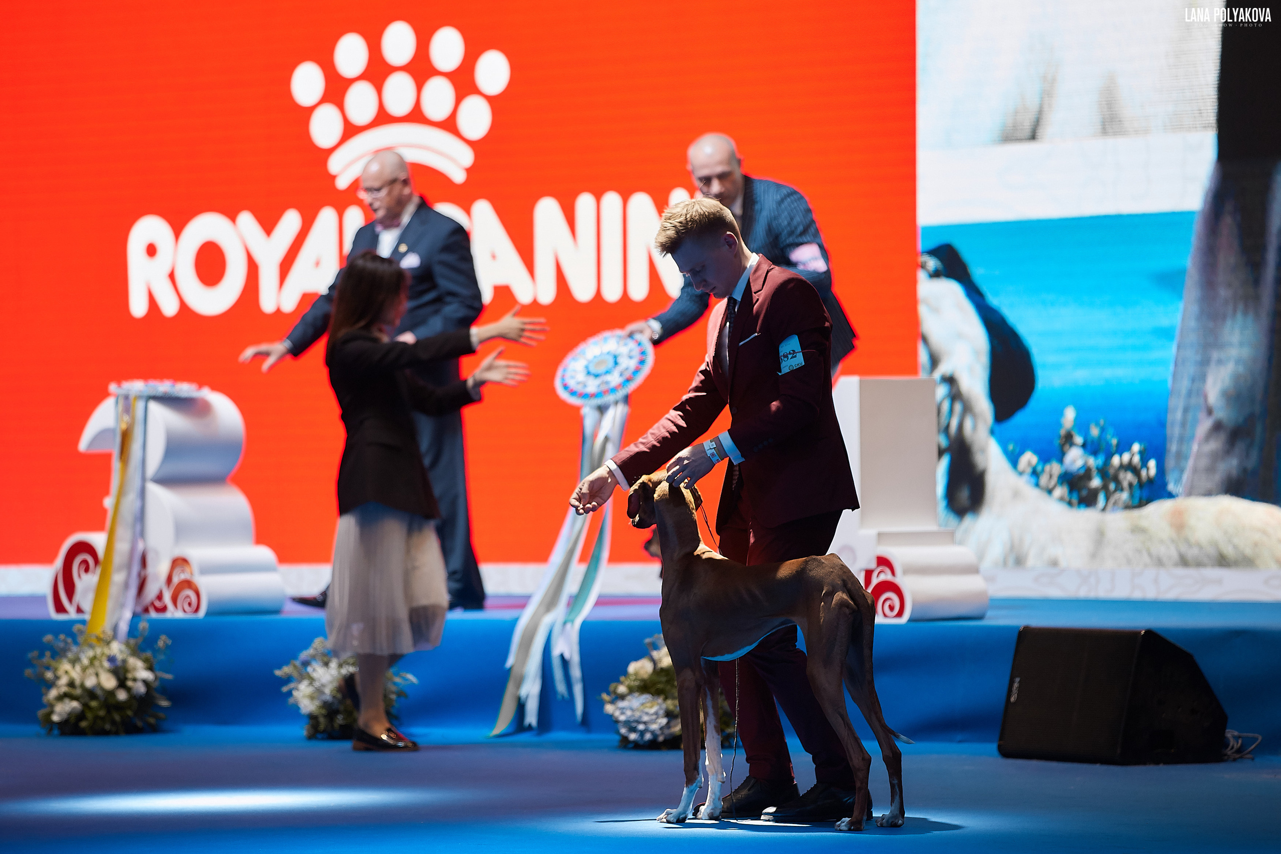 WDS 2019, China, Shanghai