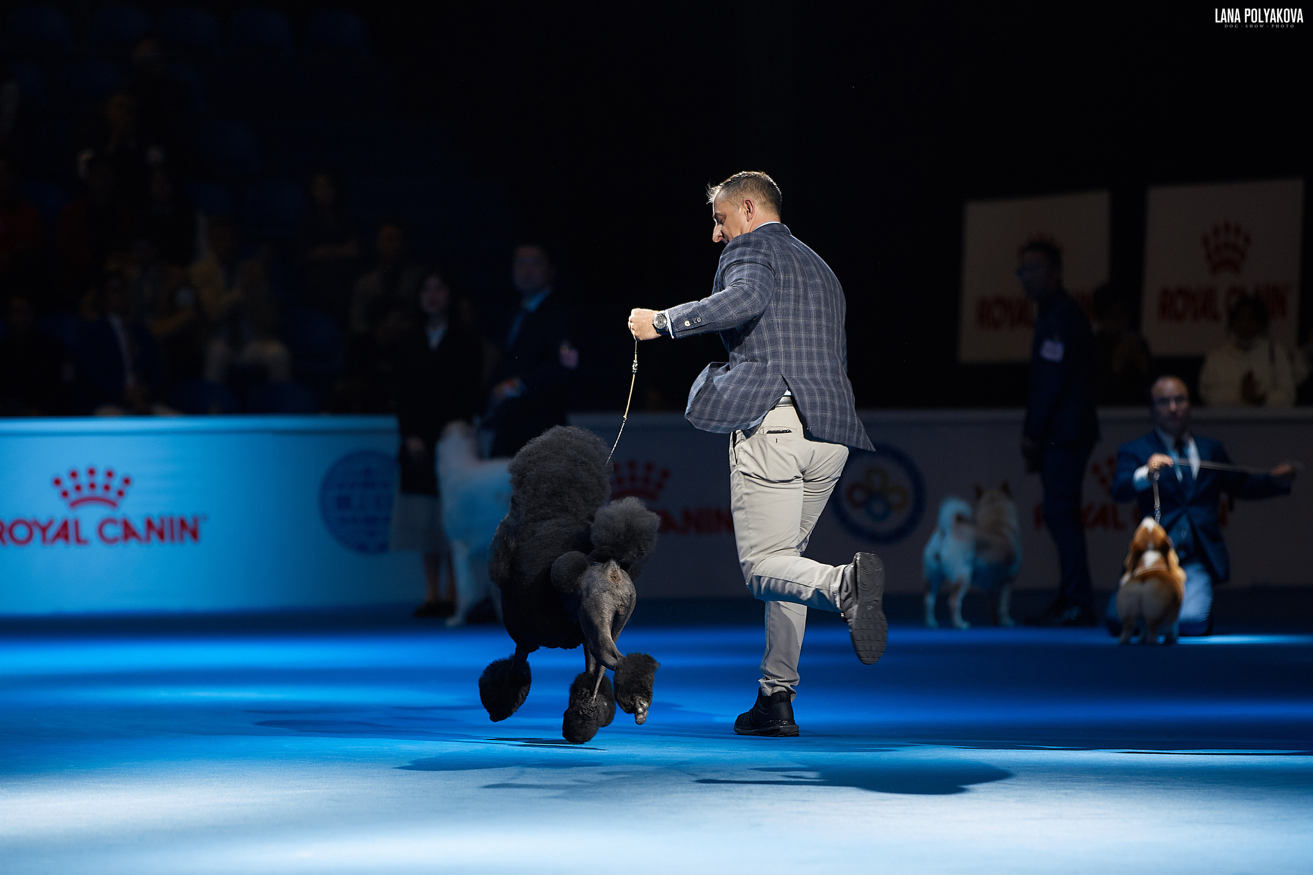 WDS 2019, China, Shanghai