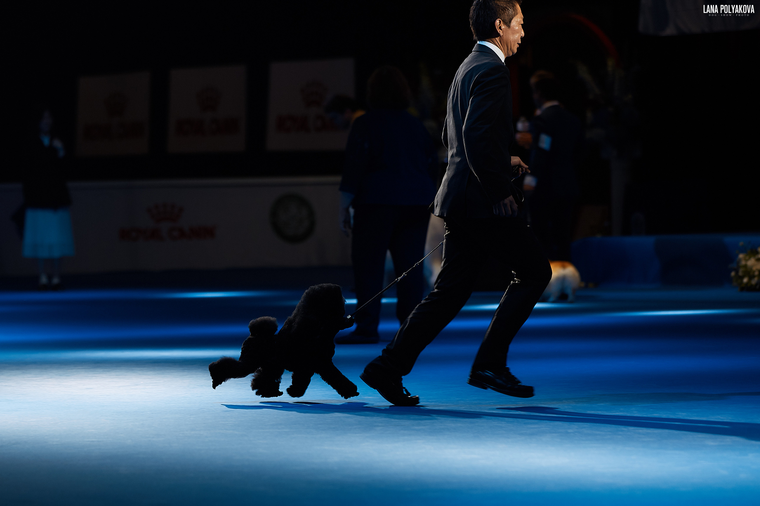 WDS 2019, China, Shanghai