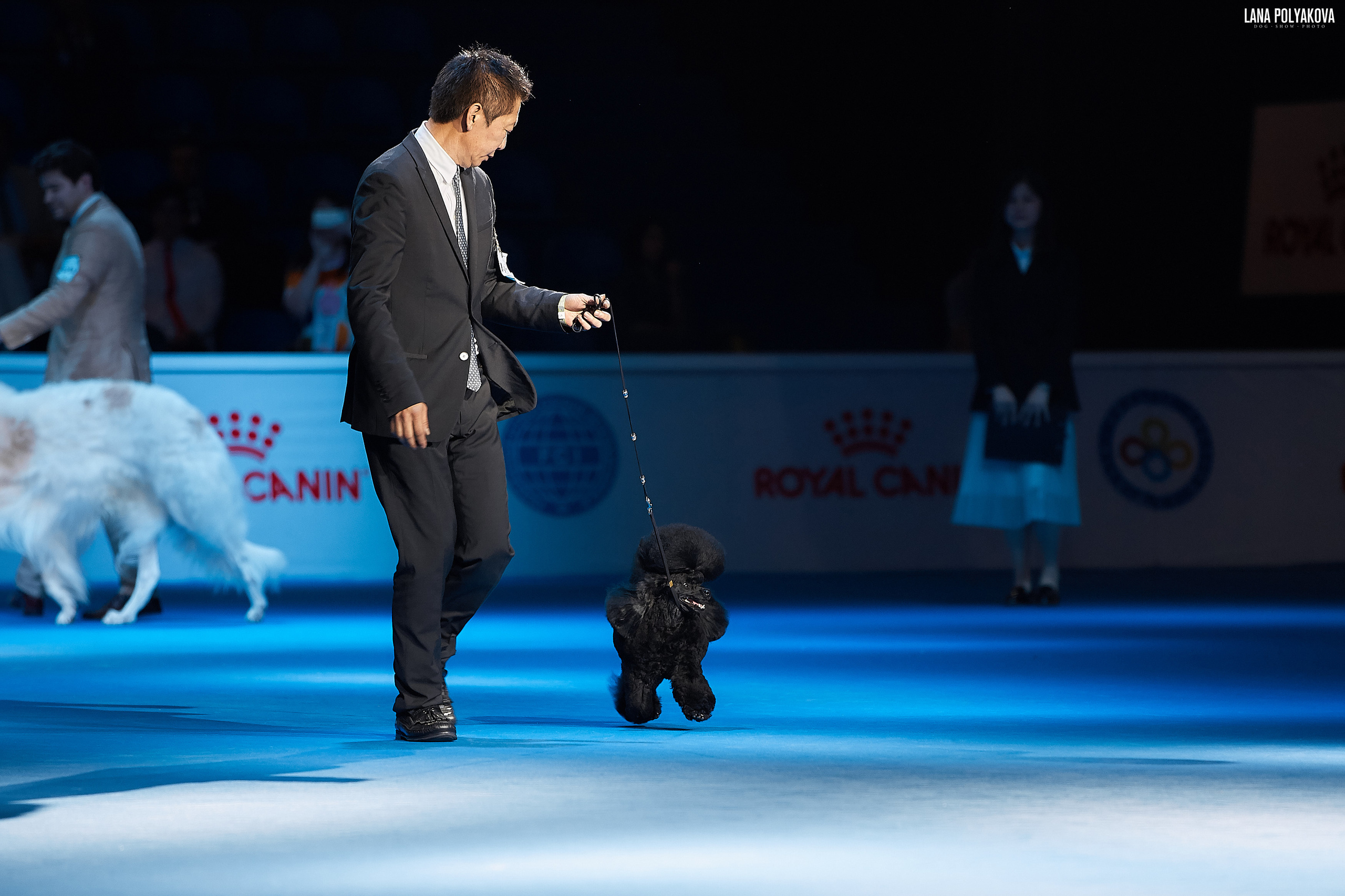 WDS 2019, China, Shanghai