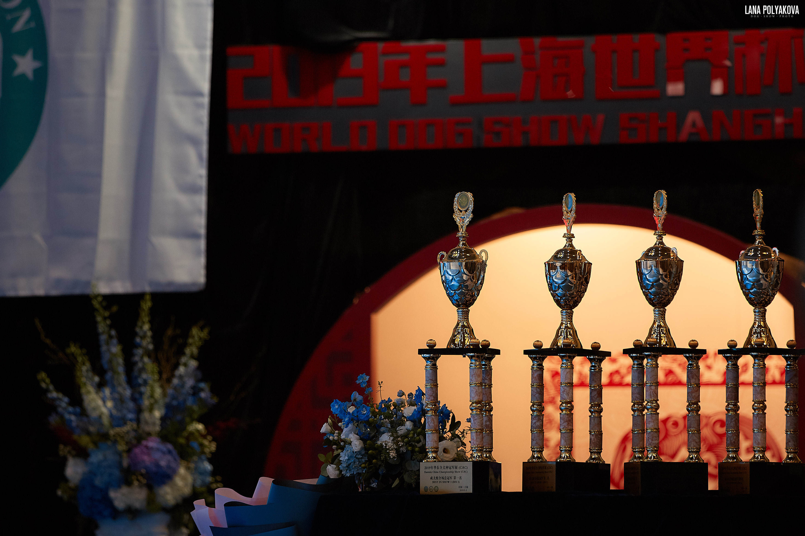 WDS 2019, China, Shanghai