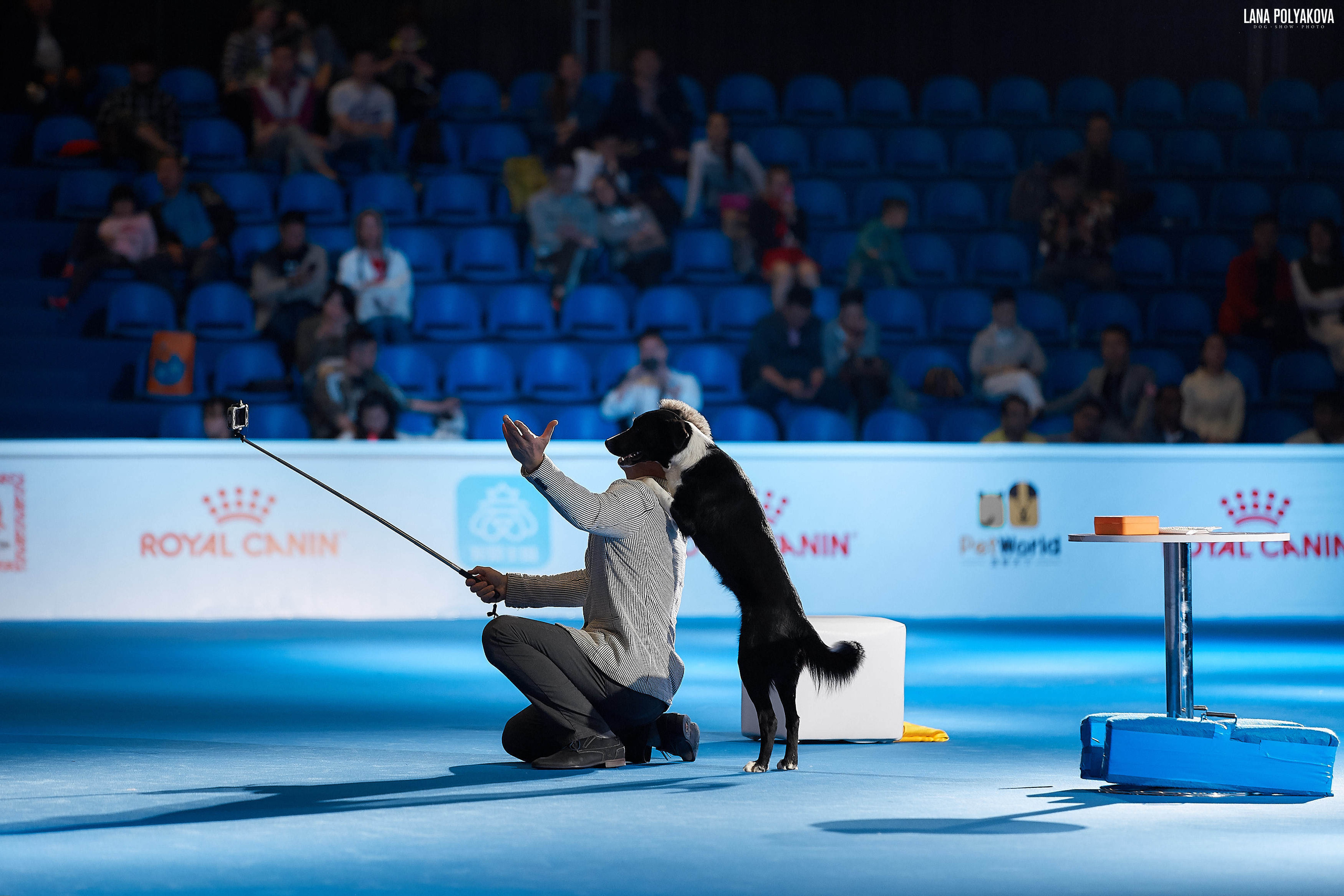 WDS 2019, China, Shanghai