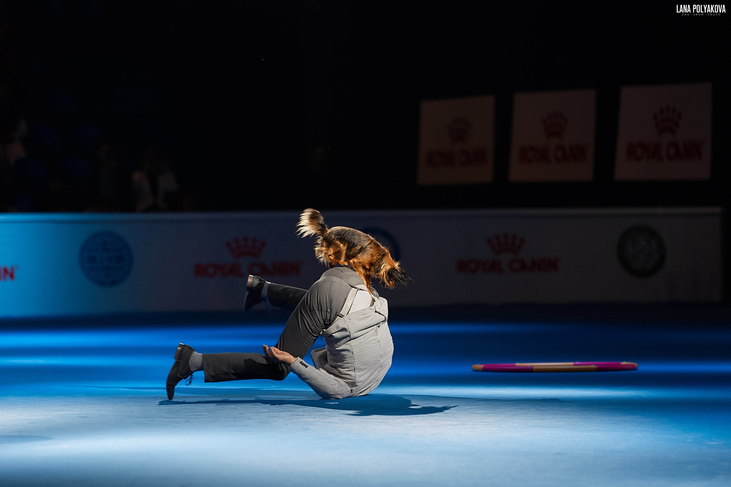 WDS 2019, China, Shanghai