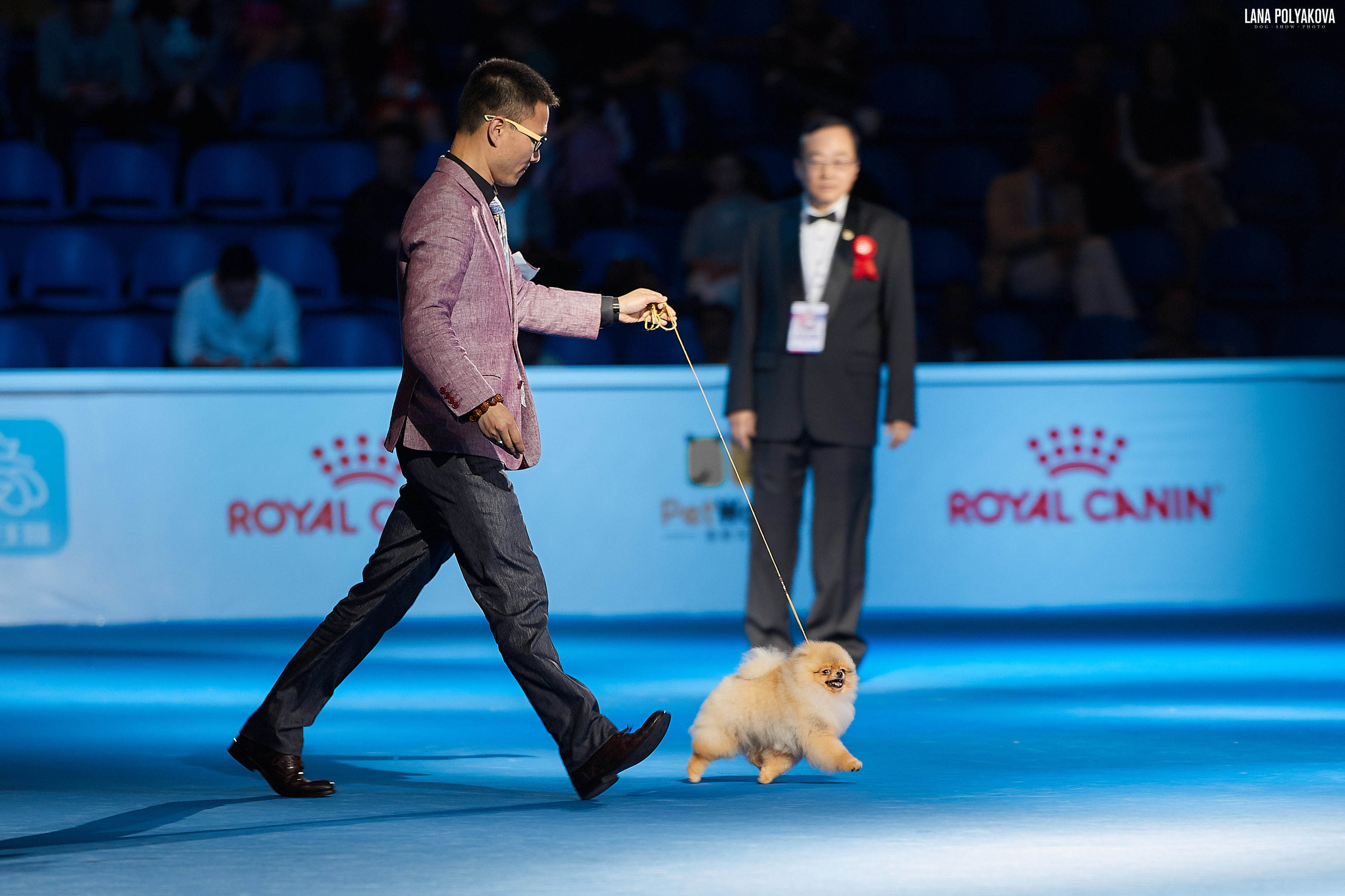 WDS 2019, China, Shanghai