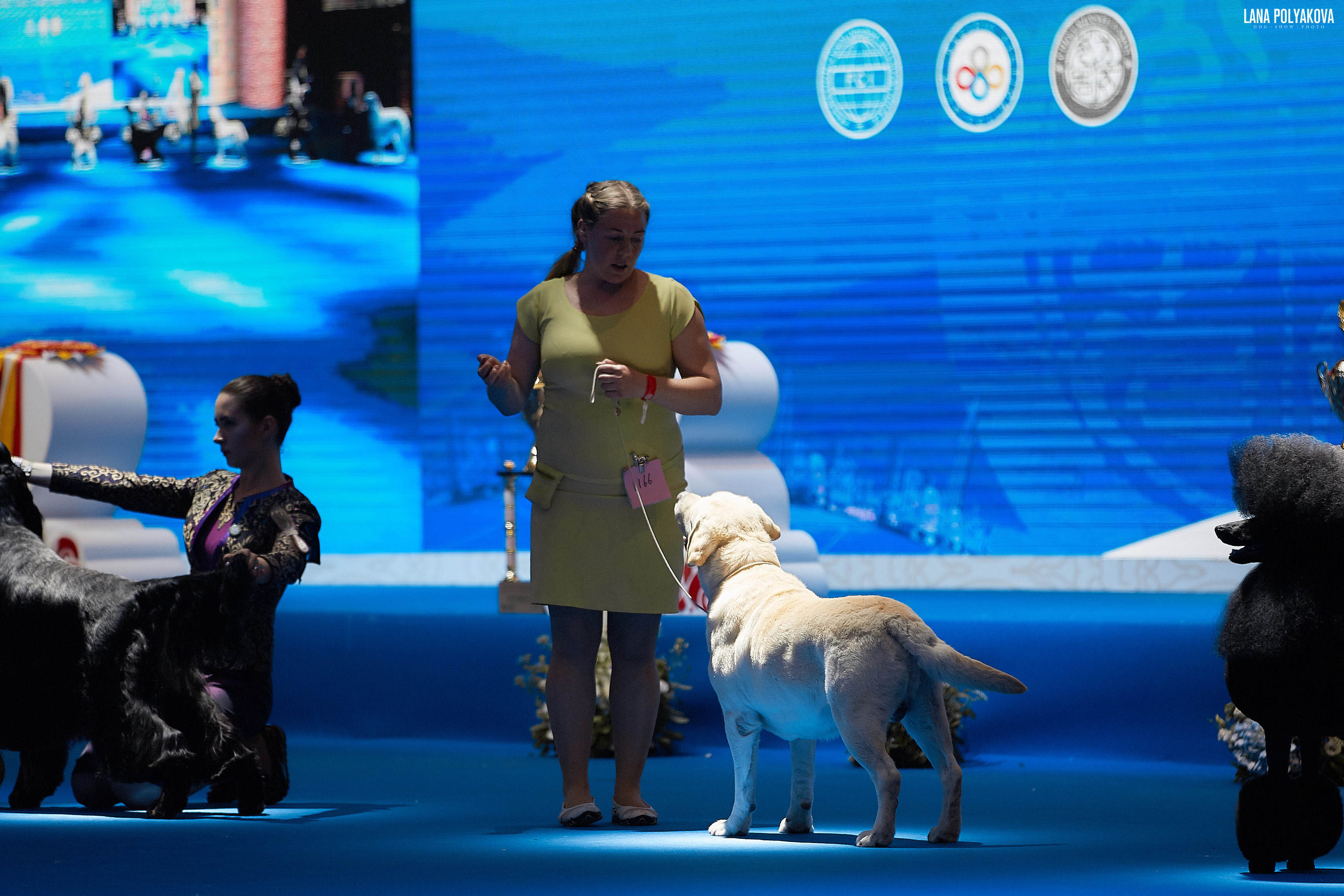 WDS 2019, China, Shanghai