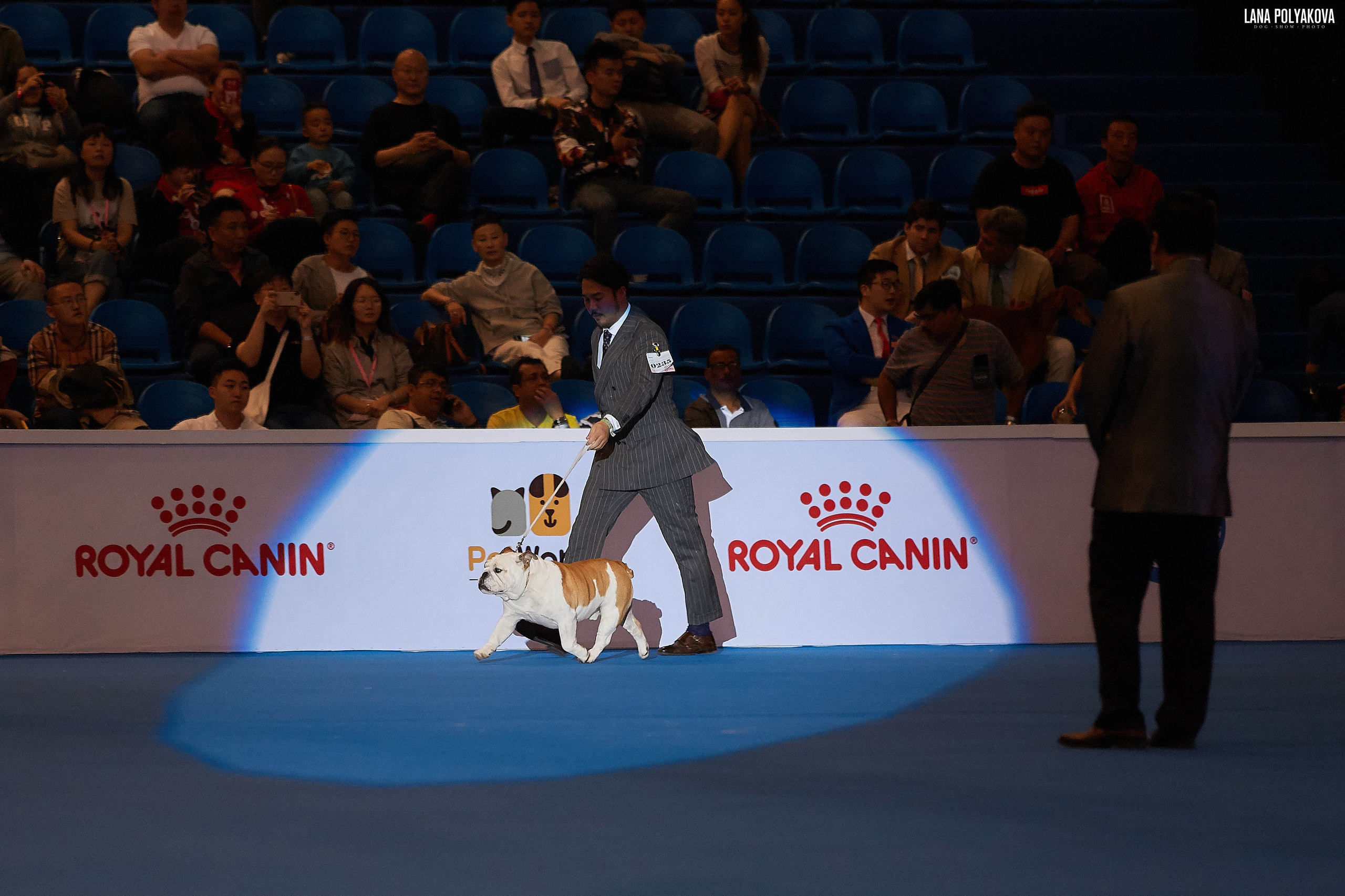 WDS 2019, China, Shanghai