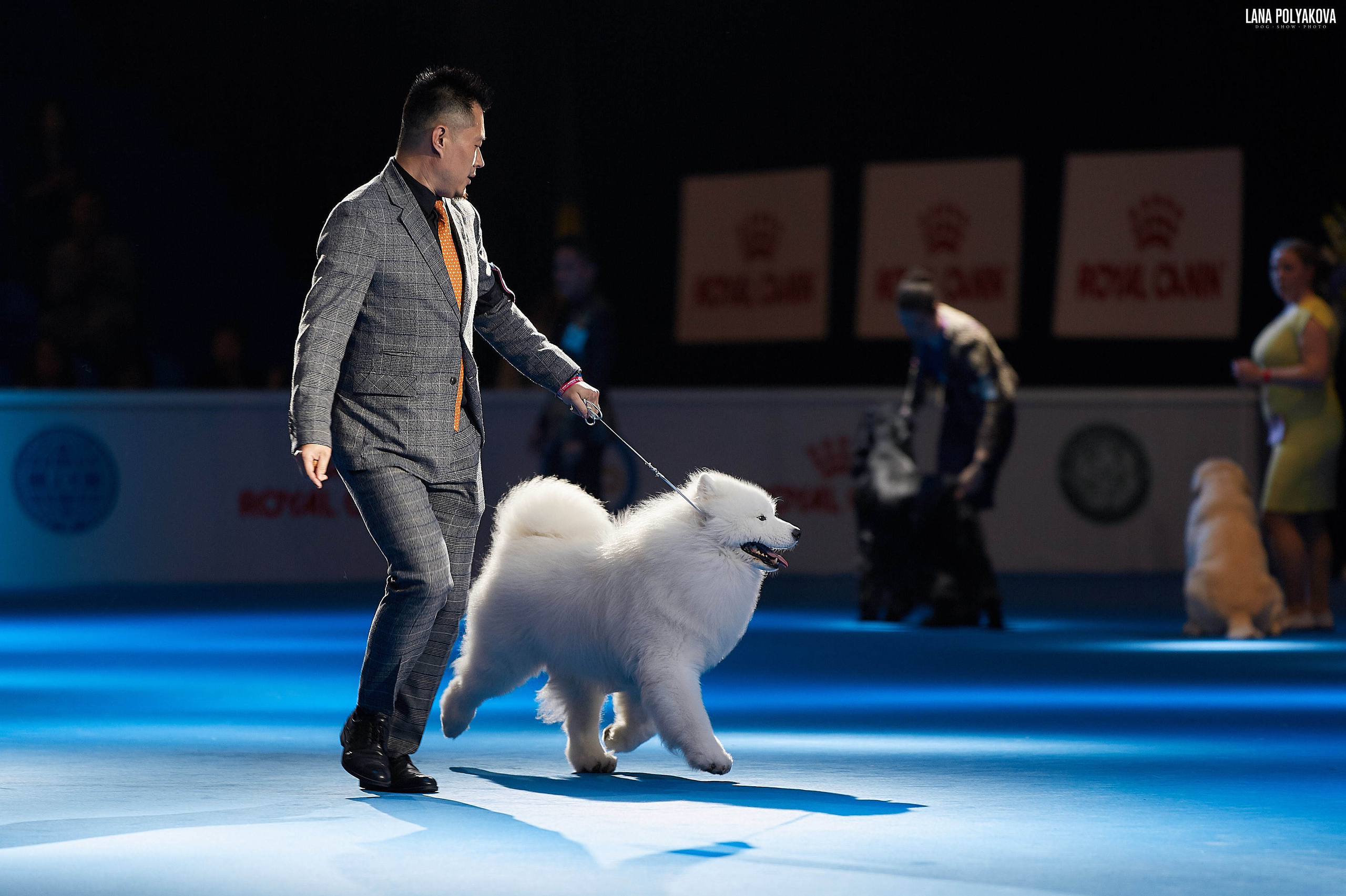 WDS 2019, China, Shanghai