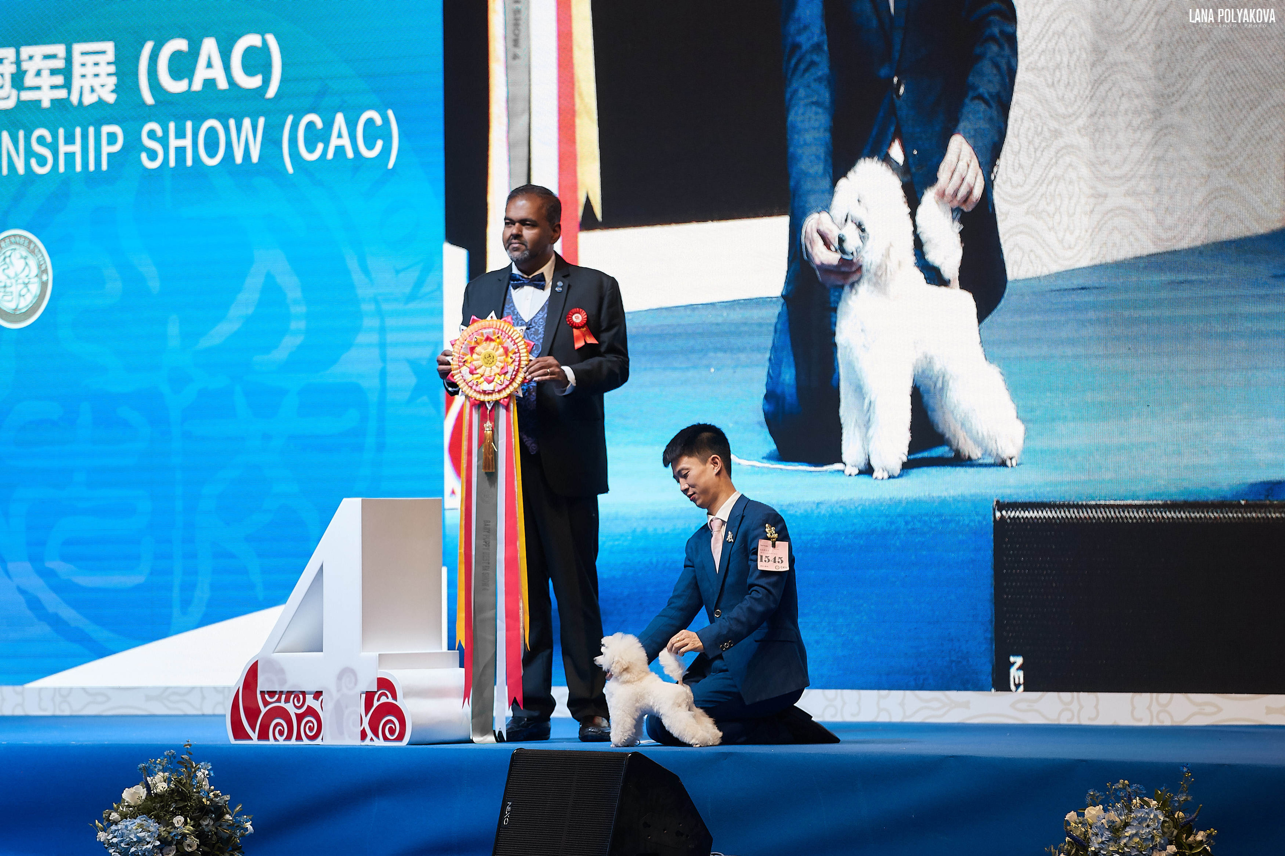 WDS 2019, China, Shanghai