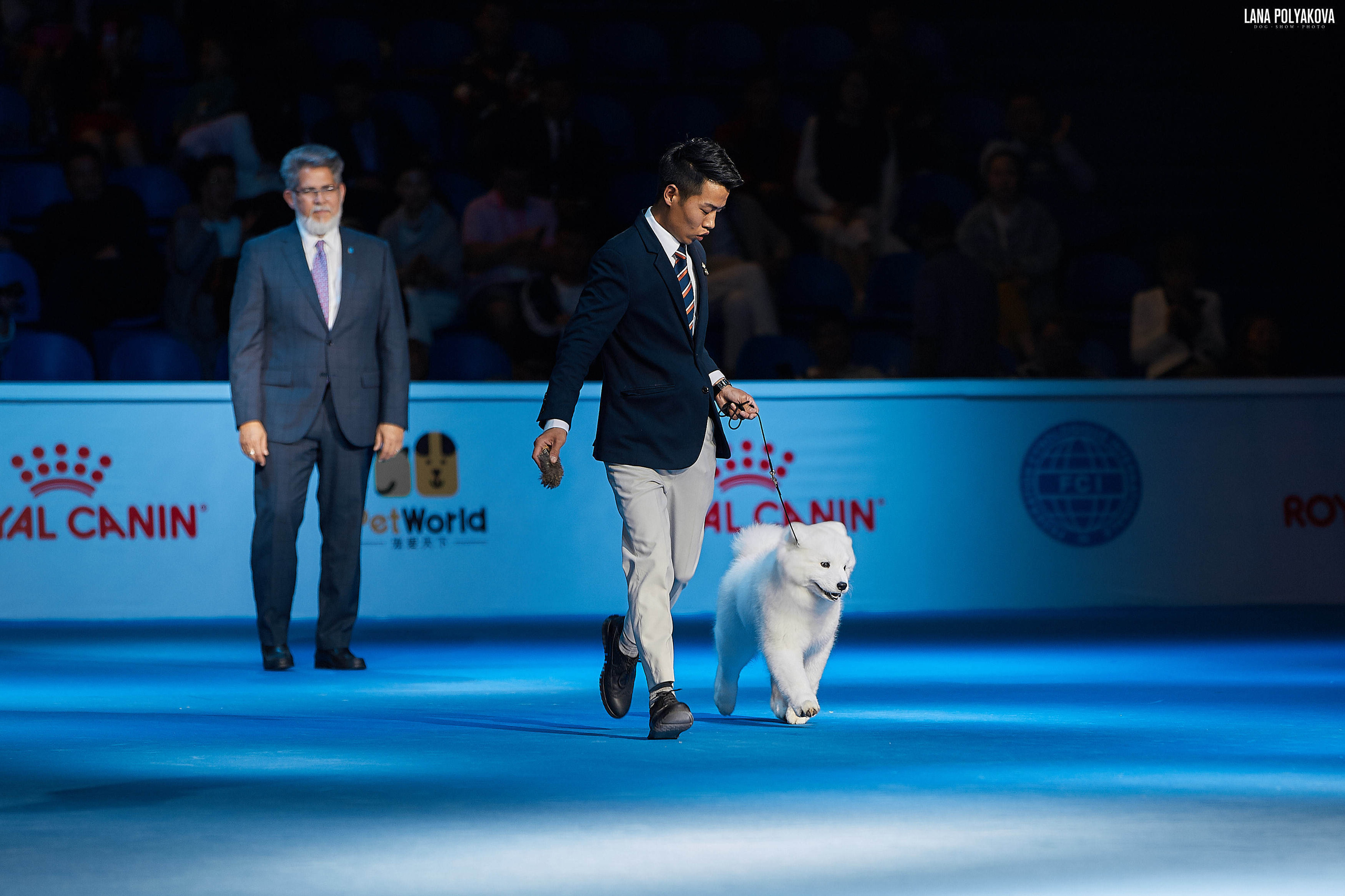 WDS 2019, China, Shanghai